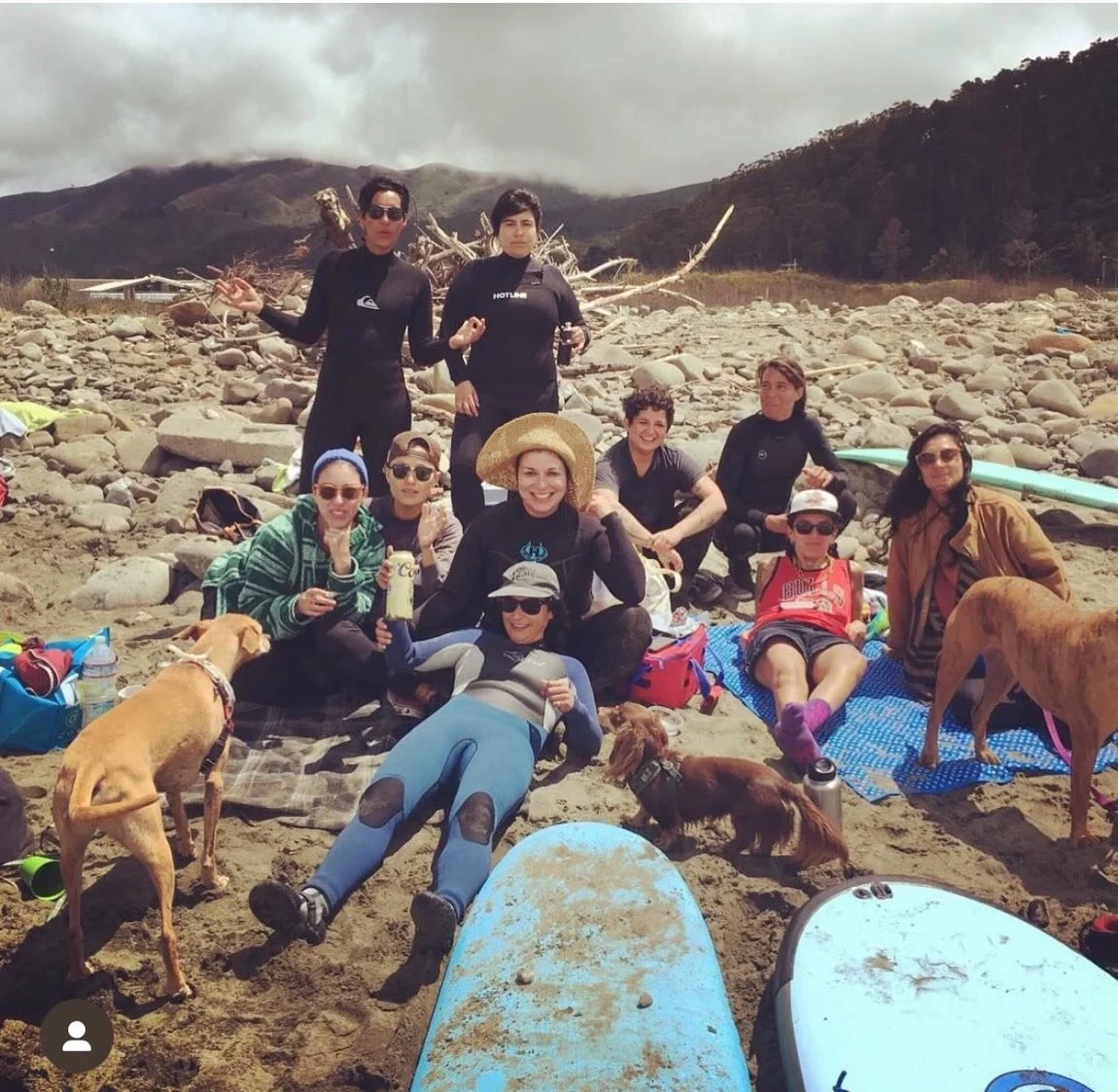 queer surf started in 2016.
riding waves since before you were gay. 
🧊🔨🍉