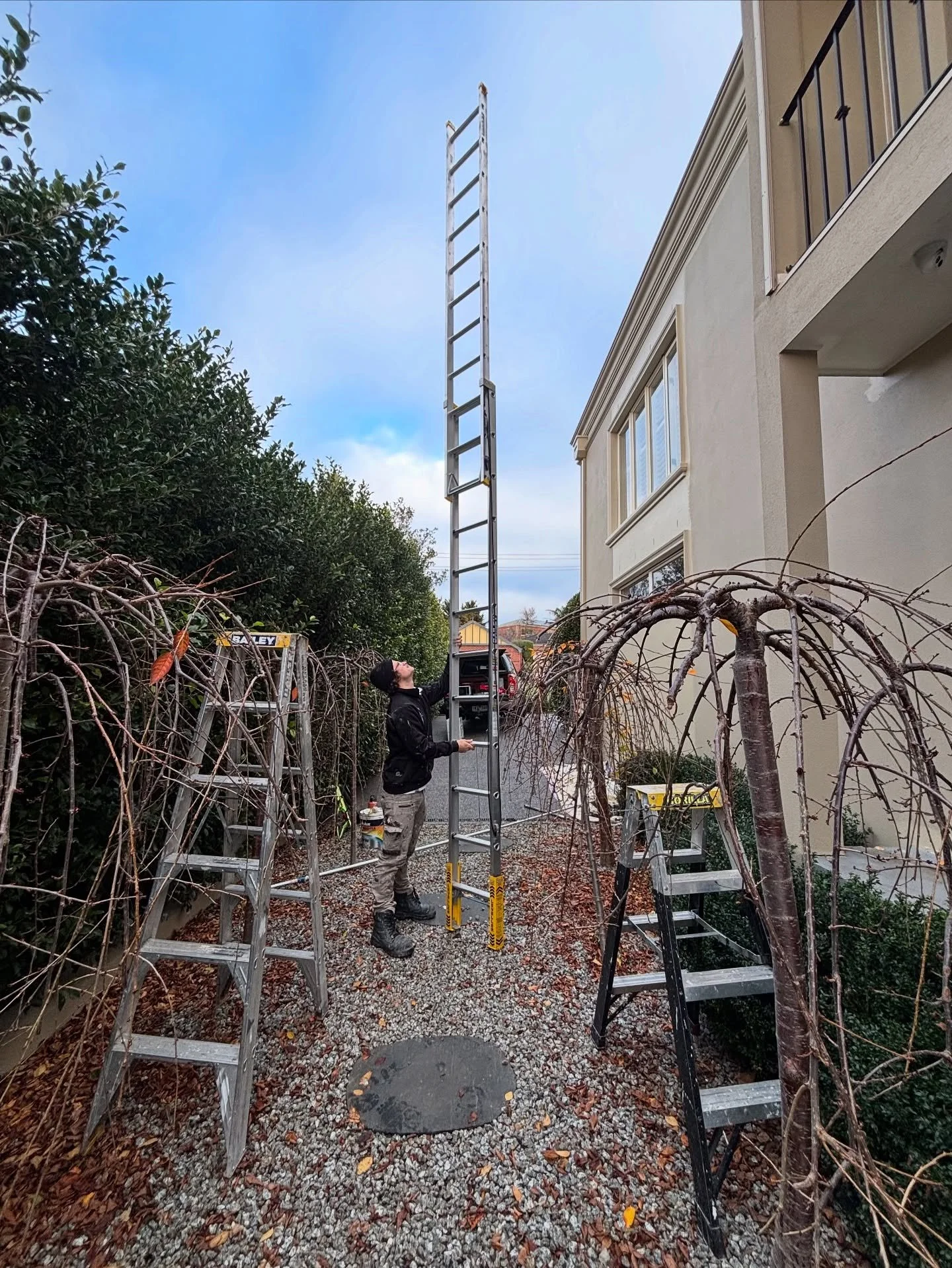 Getting the job done with our biggest ladder 🪜 🔥