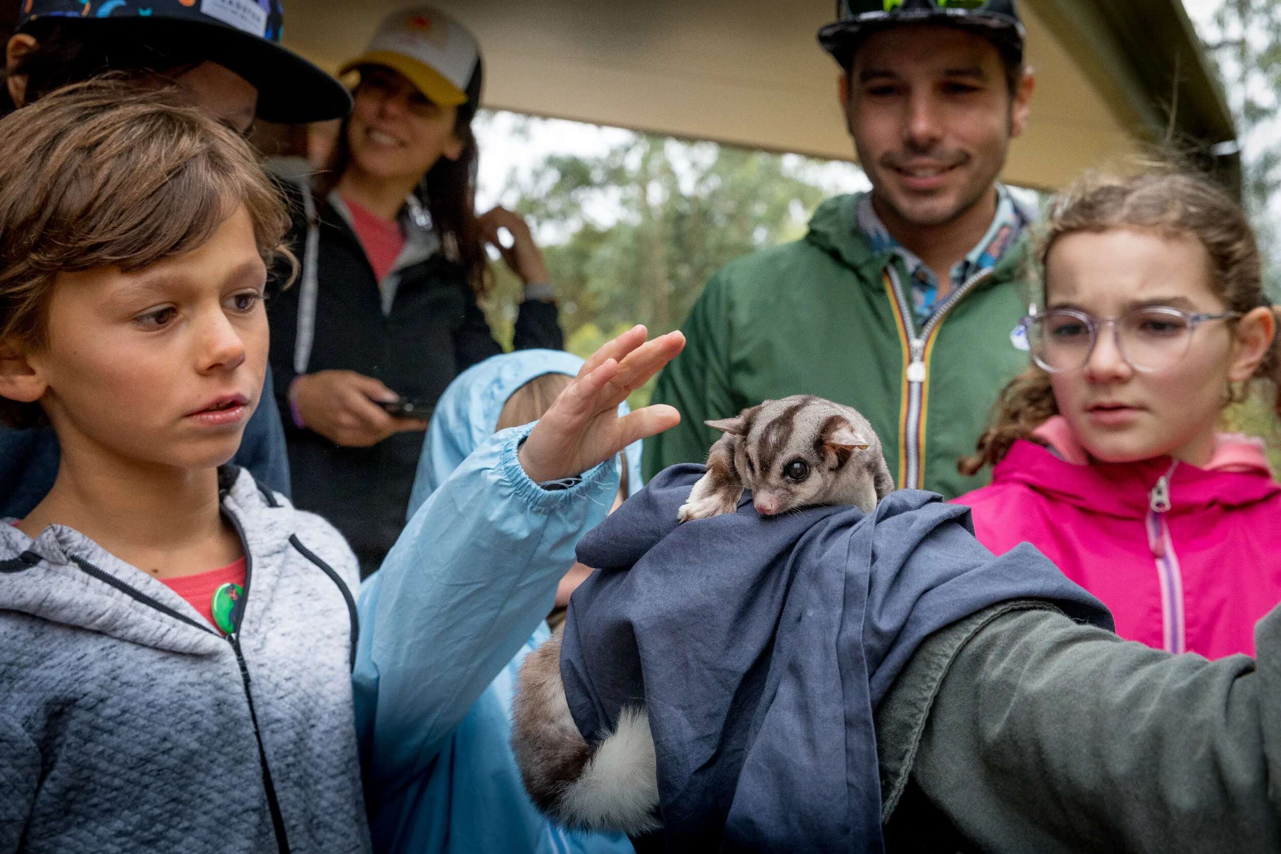 Group of children and adults gathered around a person holding a squirrel glider on their arm.