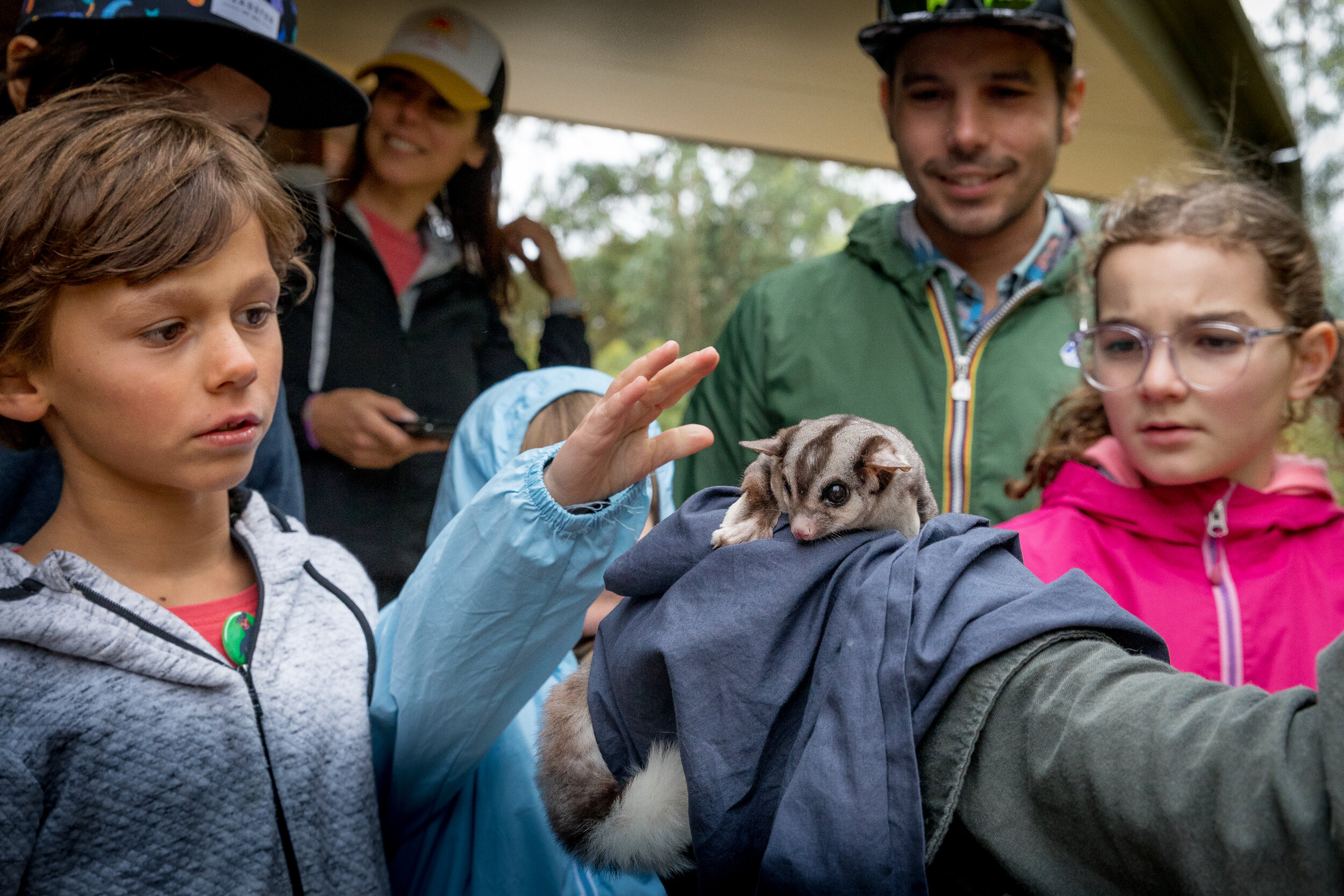 Group of children and adults gathered around a person holding a squirrel glider on their arm.