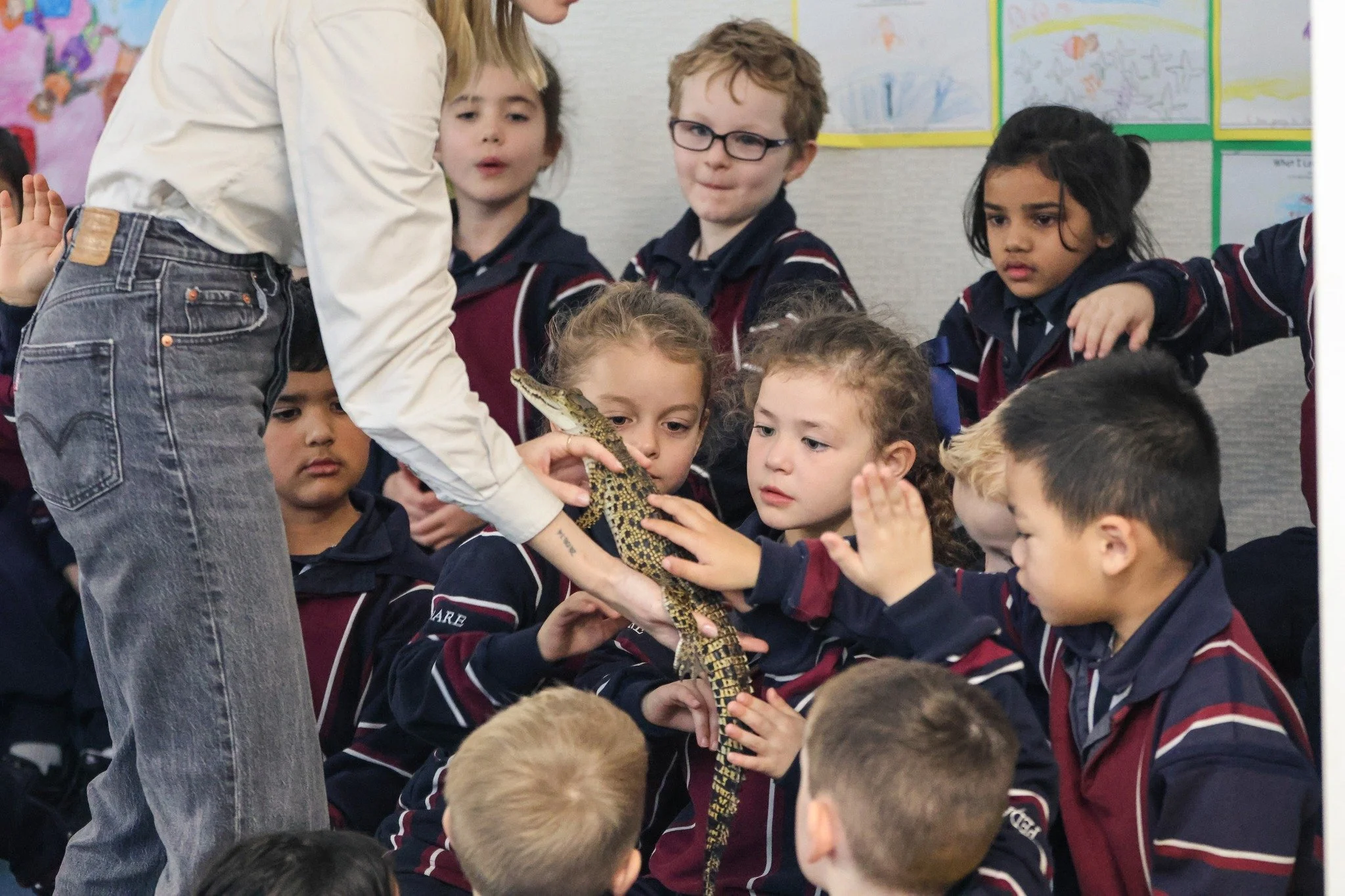 A group of young children, sitting on the floor in a classroom, are gathered around a presenter holding a small saltwater crocodile. The children are reaching out gently to touch the crocodile, showing curiosity and interest.