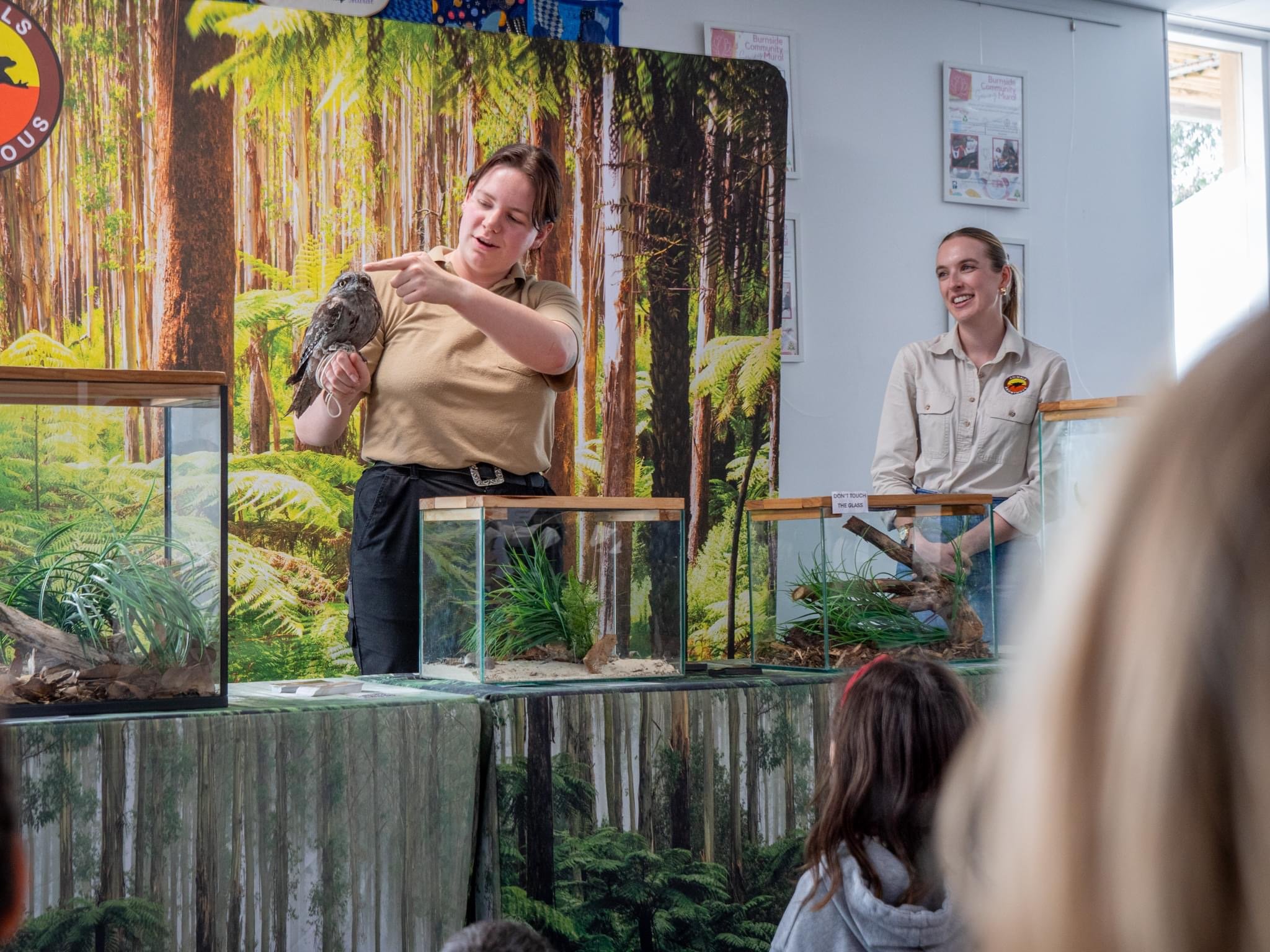 Two women giving a wildlife presentation with a tawny frogmouth on one woman's arm. Audience members watch nearby in a room with forest-themed decor.