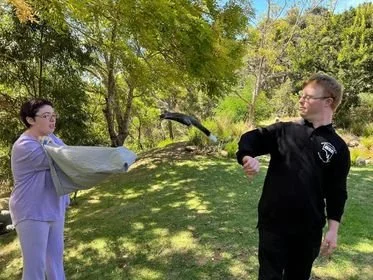 Two individuals outdoors on a grassy area surrounded by trees, squirrel glider jumps and glides between them.