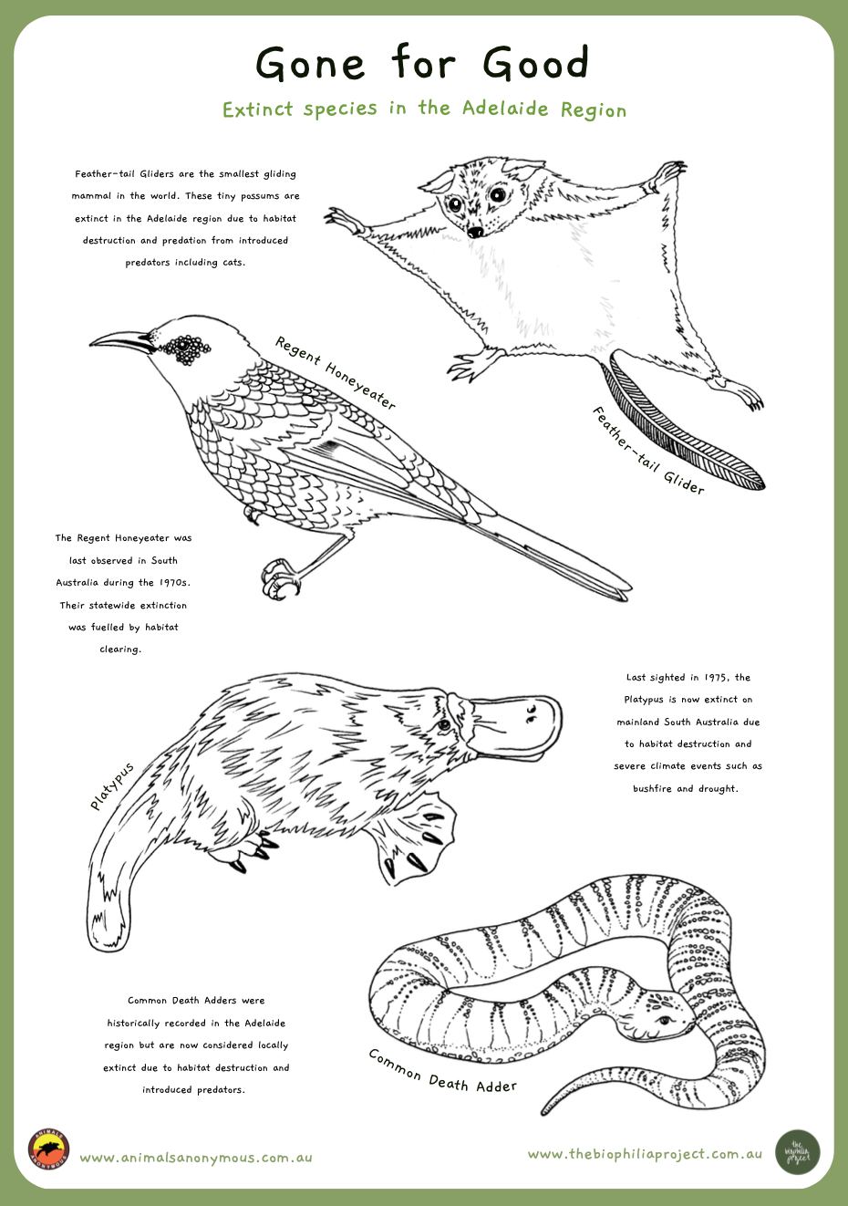 Illustration of extinct animals in the Adelaide region, including a feather-tail glider, Regent Honeyeater, platypus, and common death adder, with accompanying informational text.