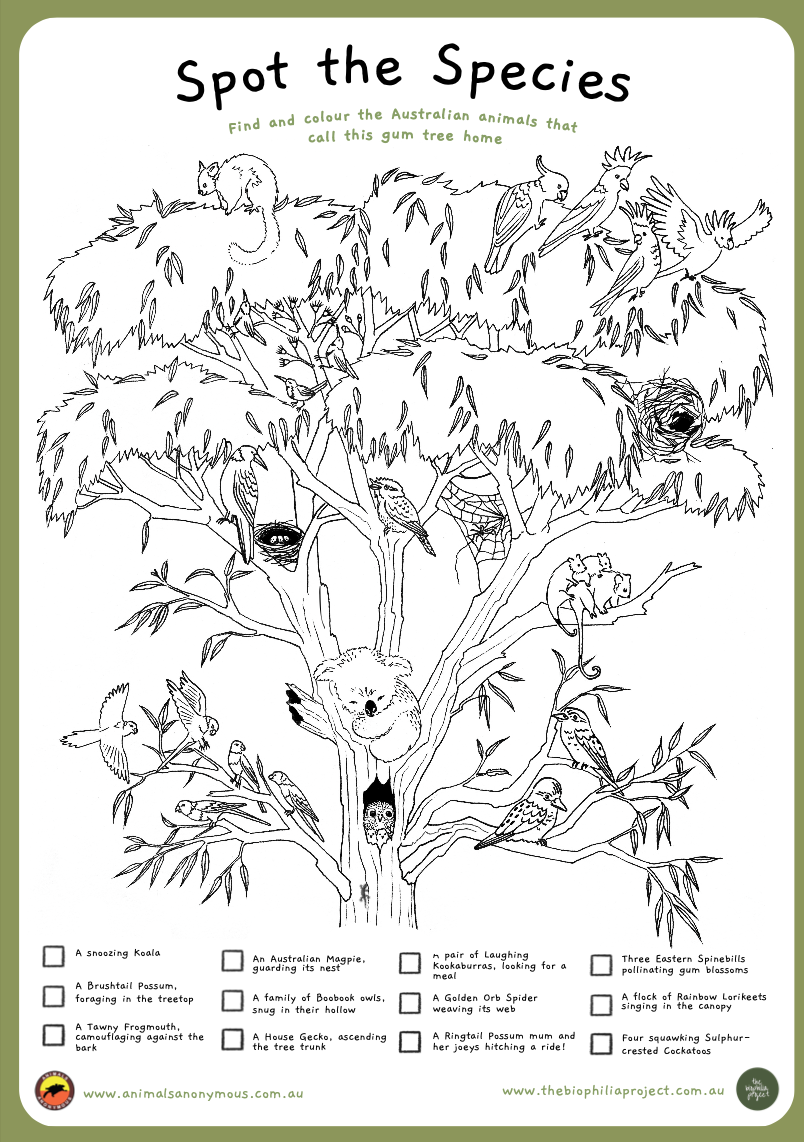 A black-and-white coloring page featuring a large tree with various Australian animals, with a list of species to find and color.