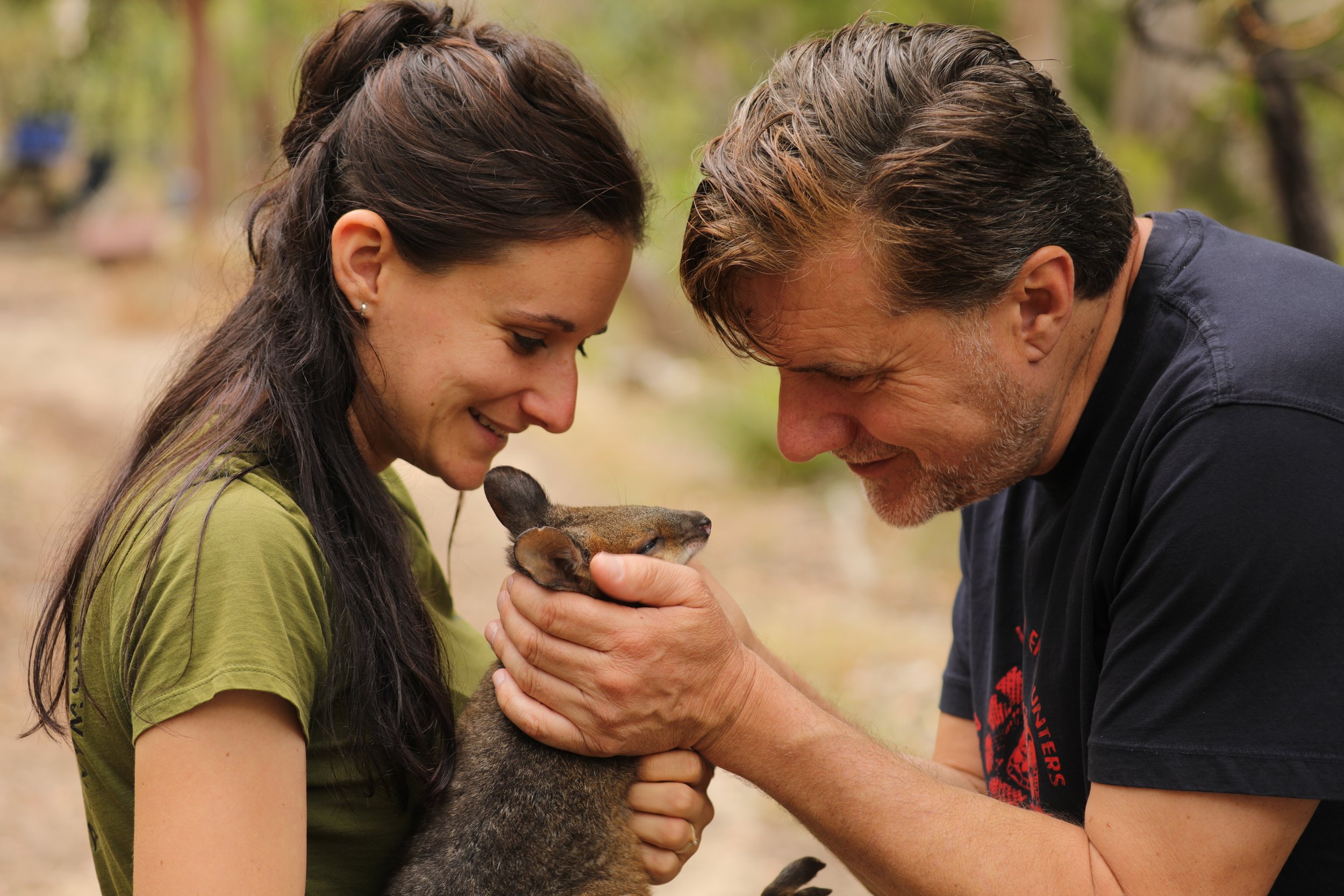 A woman and a man gently hold a pademelon joey between them, smiling at each other as they interact with the animal outdoors in a natural setting.