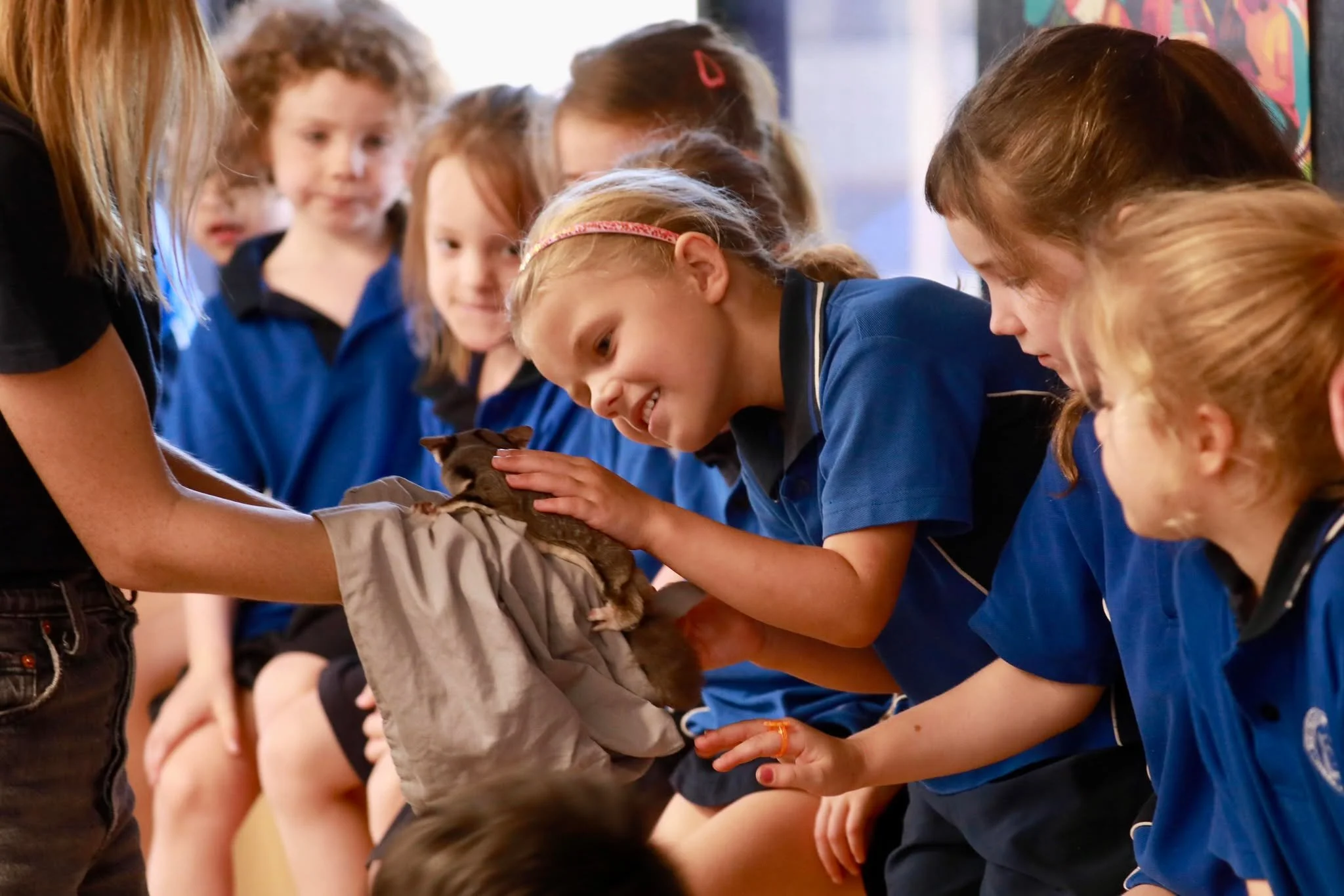 Wildlife Incursions | The Best Interactive Animal Shows in Adelaide ...