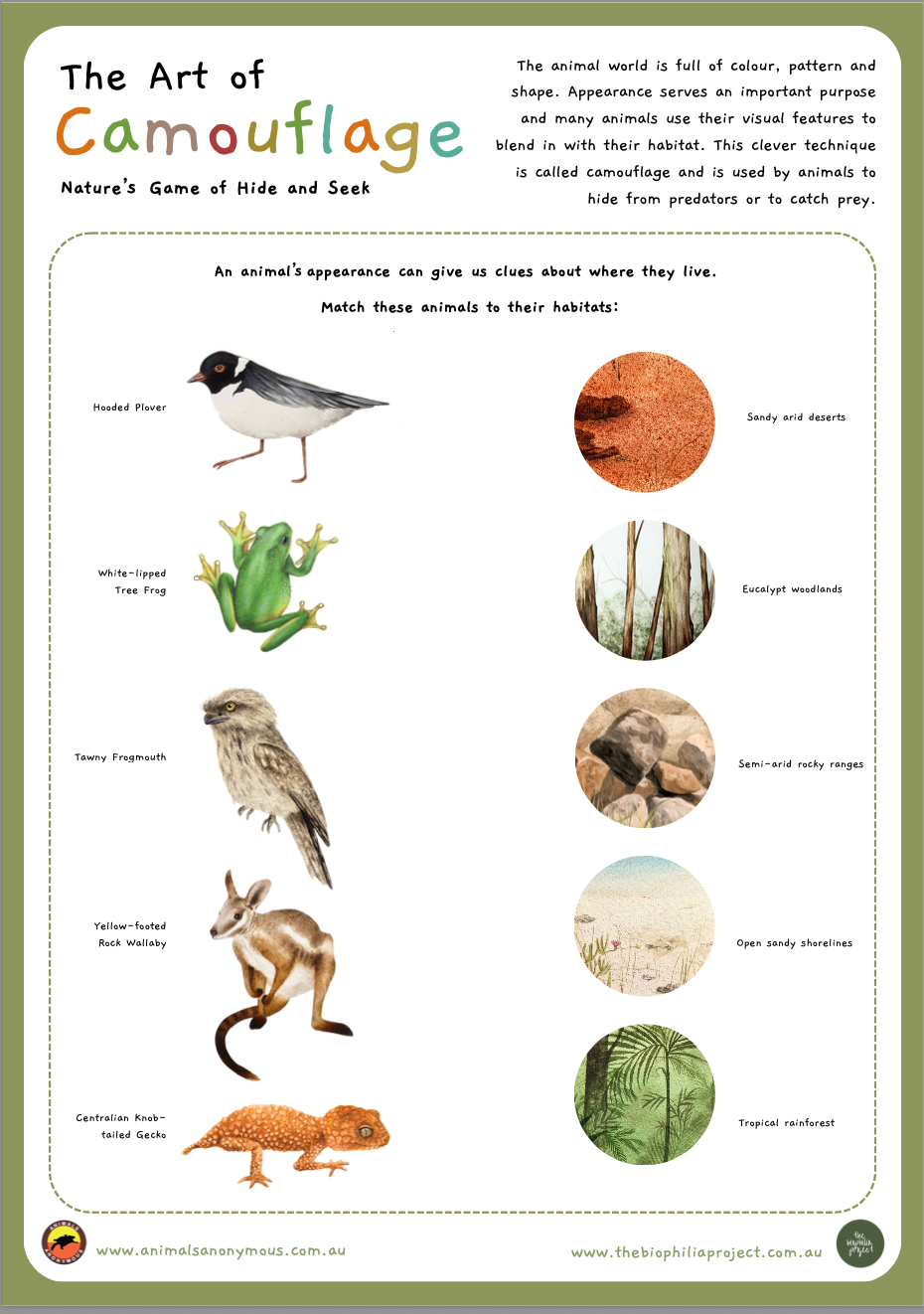 An educational chart titled 'The Art of Camouflage: Nature's Game of Hide and Seek' displaying five animals matched with their habitats. The animals are a hooded plover, white-lipped tree frog, tawny frogmouth, yellow-footed rock wallaby, and centralian knob-tail gecko. The habitats include sandy arid deserts, eucalypt woodlands, semi-arid rocky ranges, open sandy shorelines, and tropical rainforest.