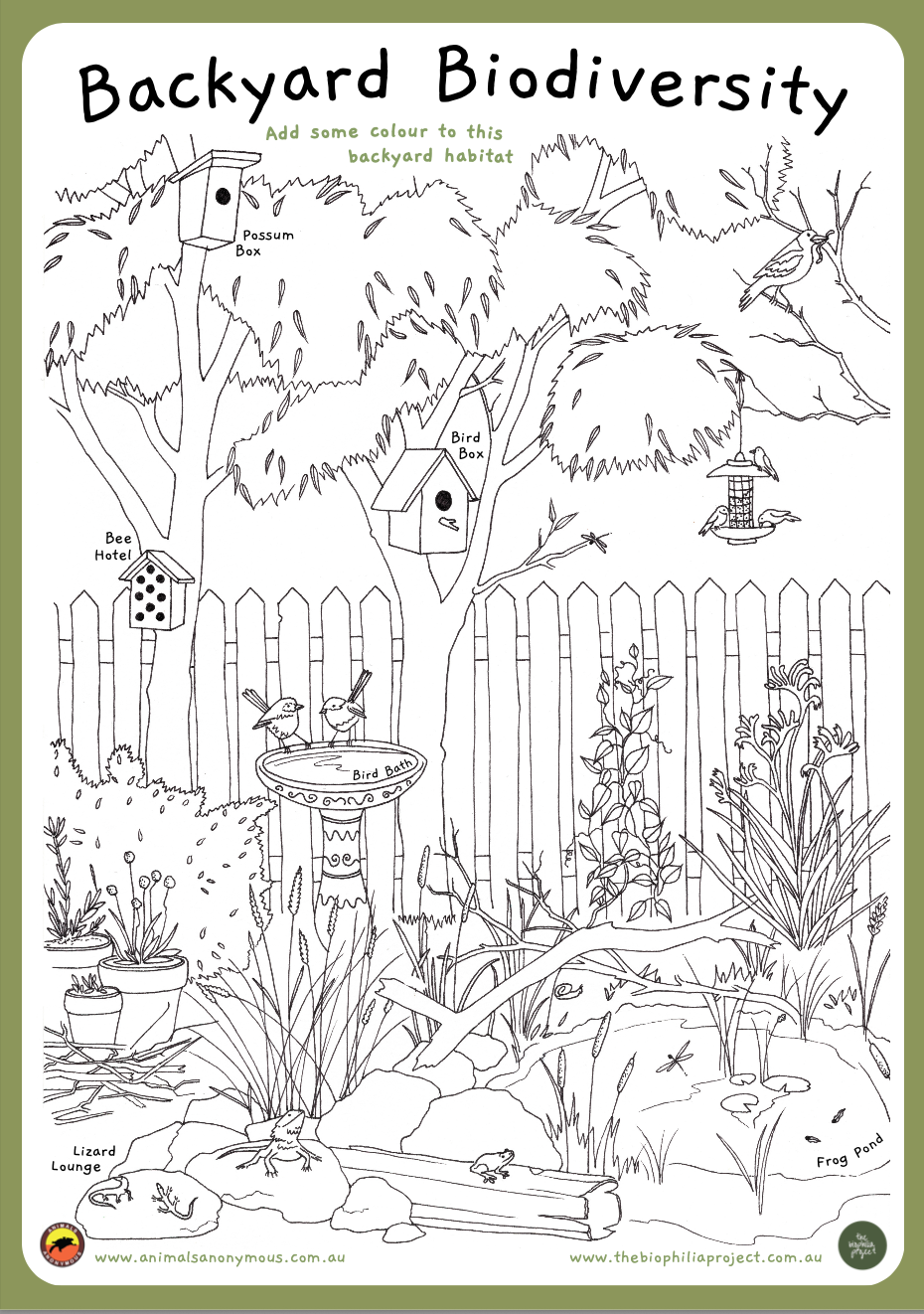 Black and white coloring page of a backyard habitat with birds, bees, a frog pond, and a lizard lounge, featuring bird and possum boxes, bird bath, and neighboring plants and trees.