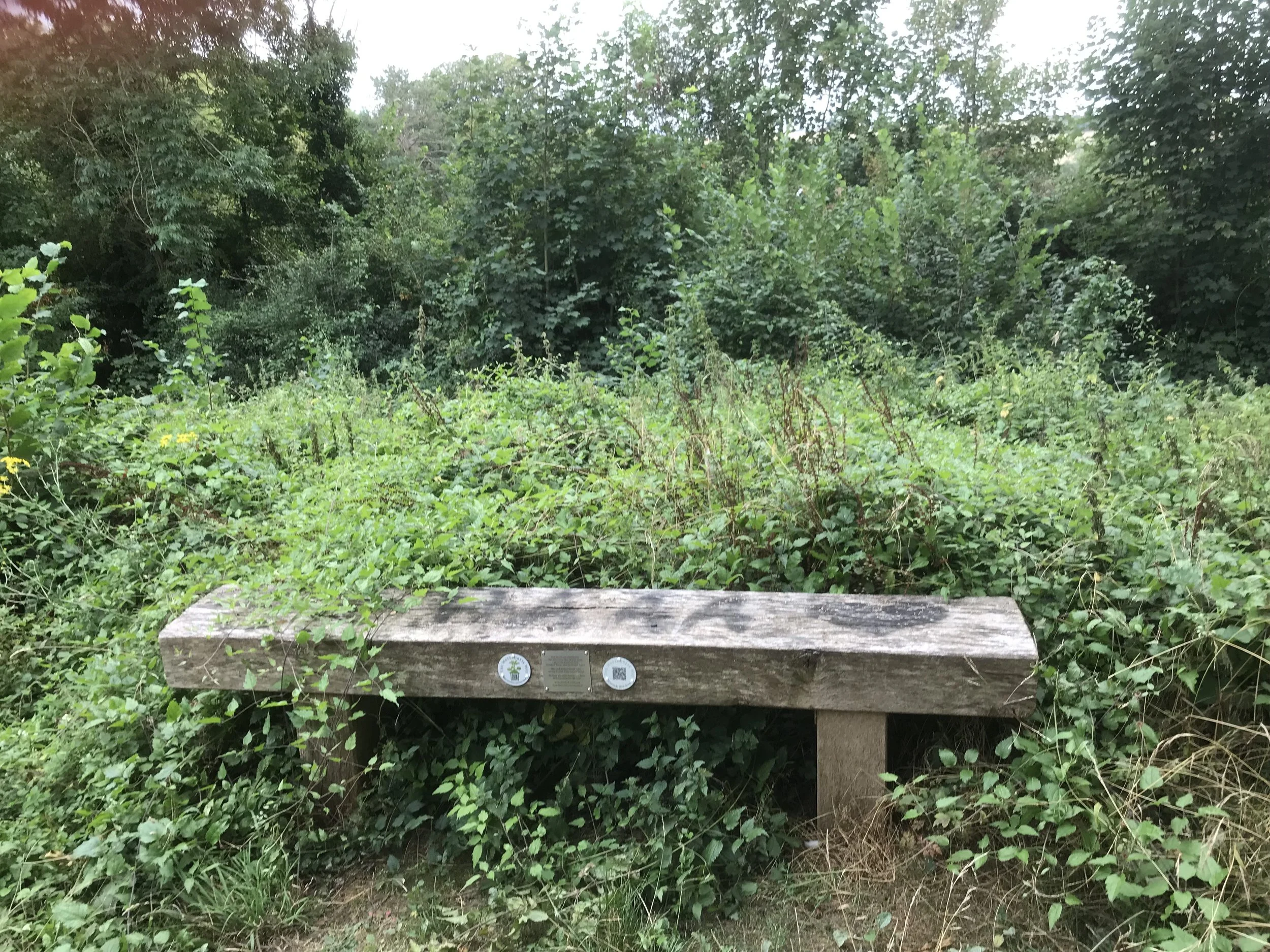 Bench before clearance.jpeg