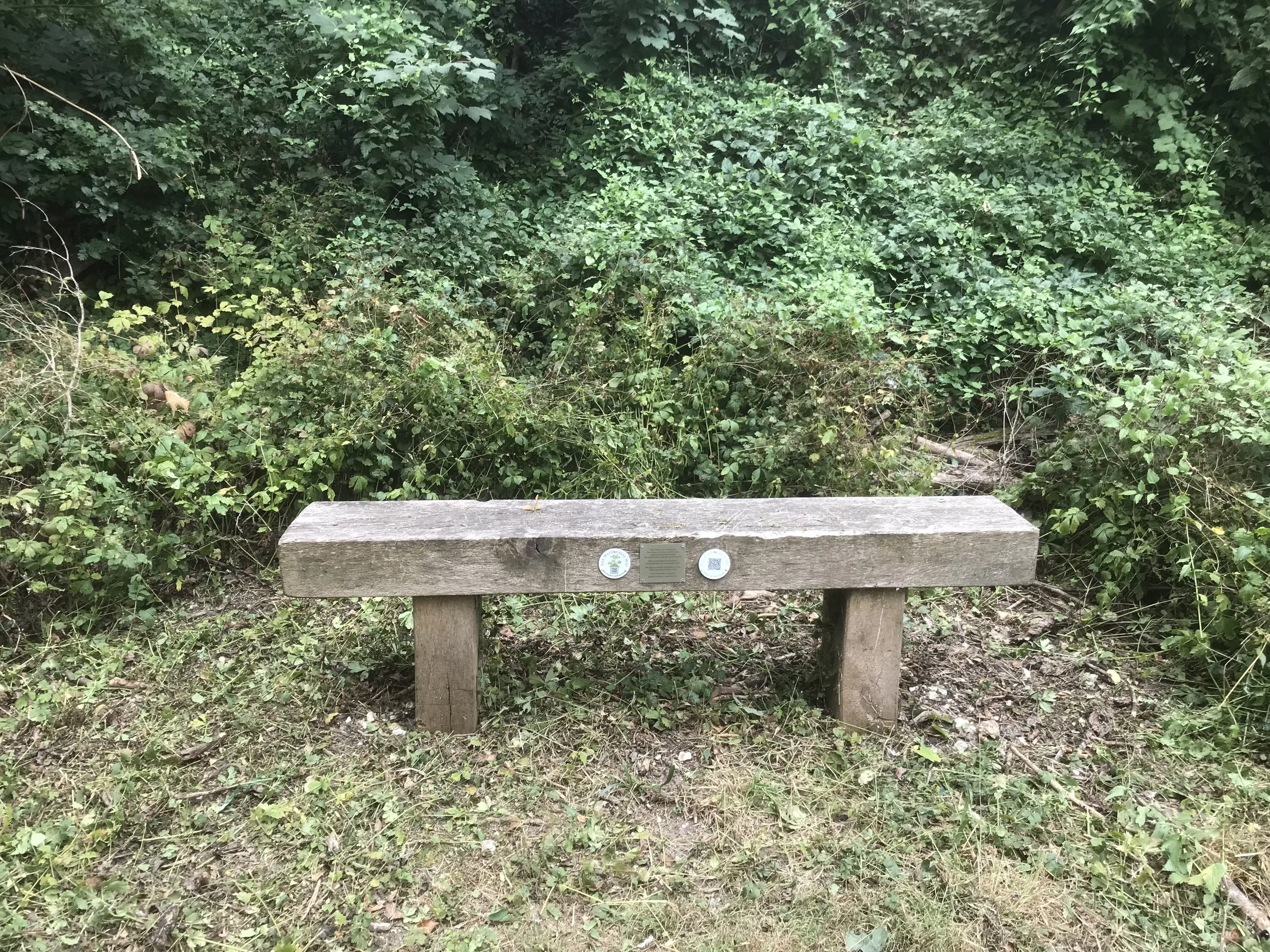 Bench after clearance.jpeg