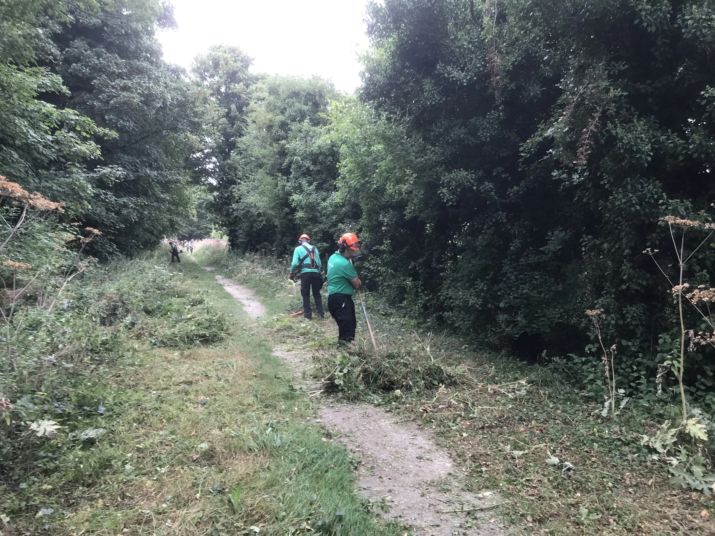HMG volunteers raking up.jpeg