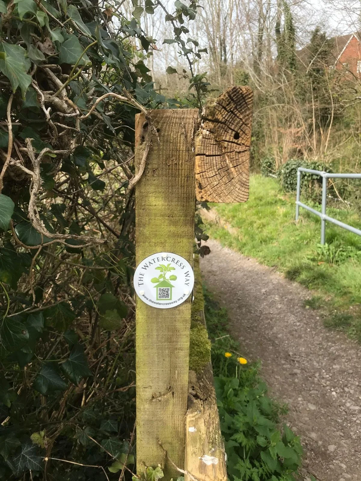 WhatsApp Image 2026-03-20 at 11.46.33 (2).jpeg