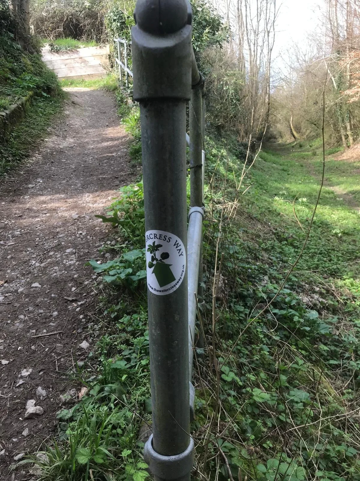 WhatsApp Image 2026-03-20 at 11.46.33 (1).jpeg