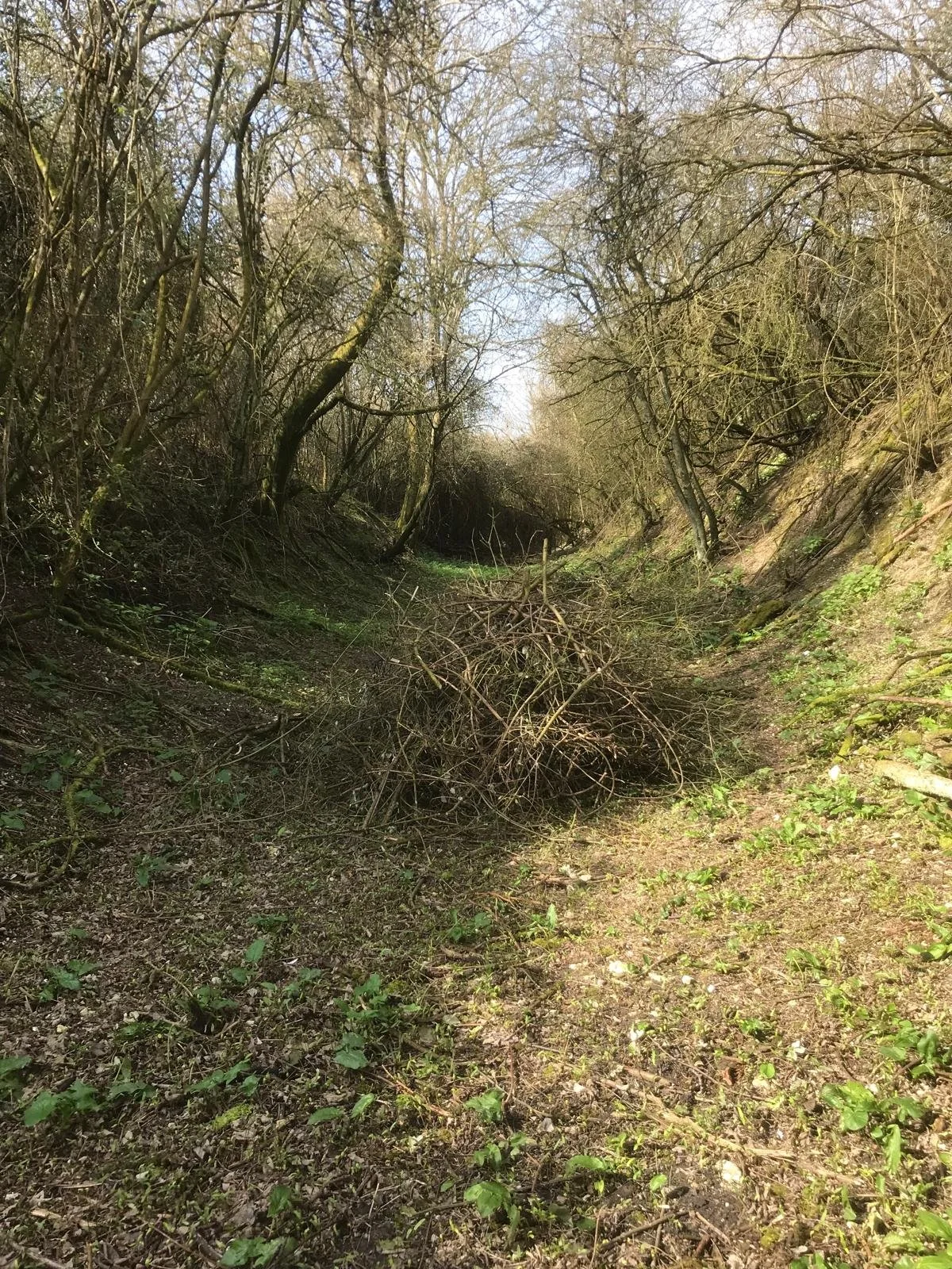 WhatsApp Image 2026-03-20 at 11.46.33.jpeg