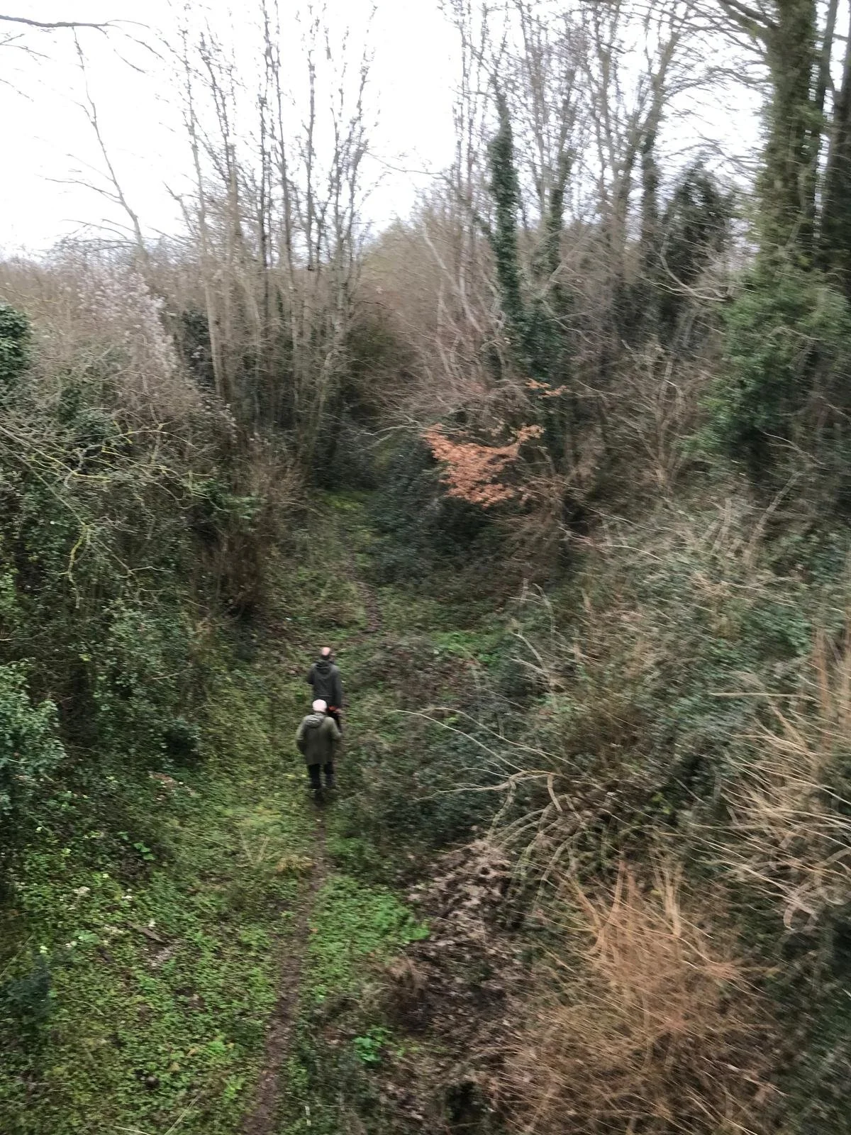 WhatsApp Image 2026-02-23 at 14.58.05 (1).jpeg