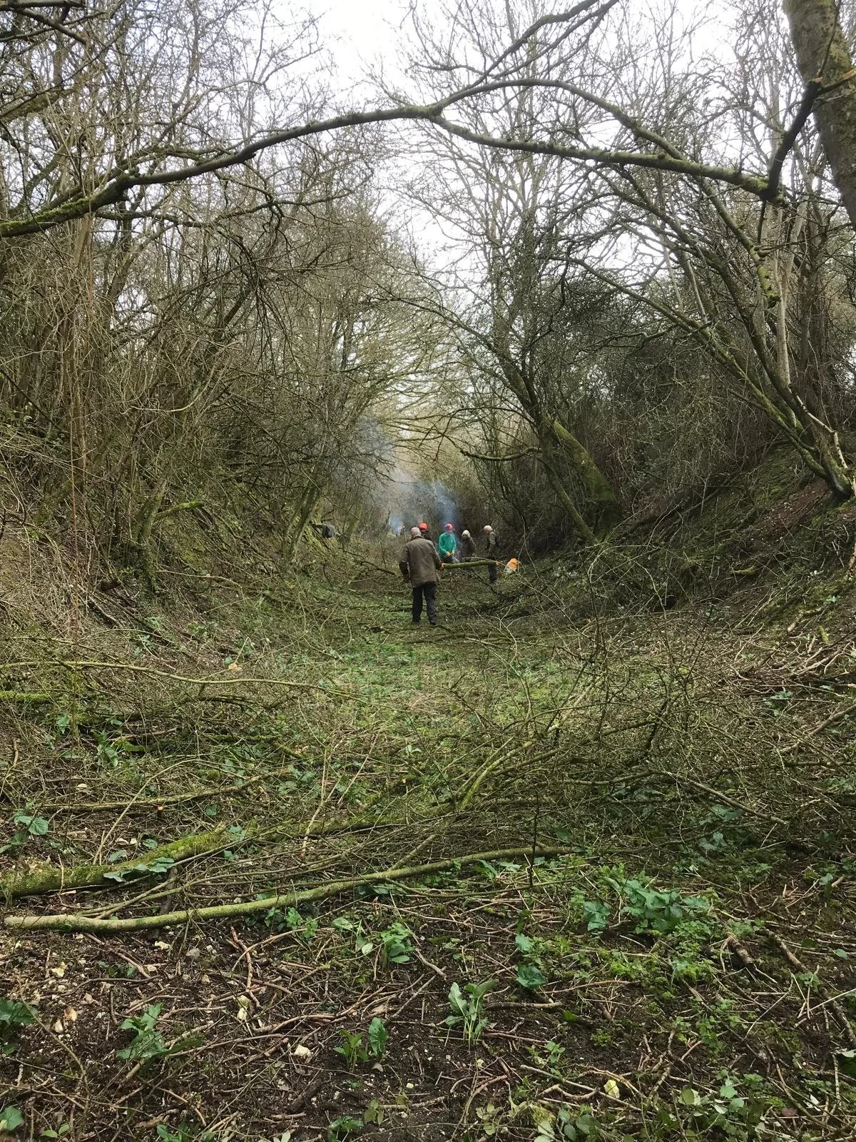 WhatsApp Image 2026-02-23 at 14.58.05.jpeg