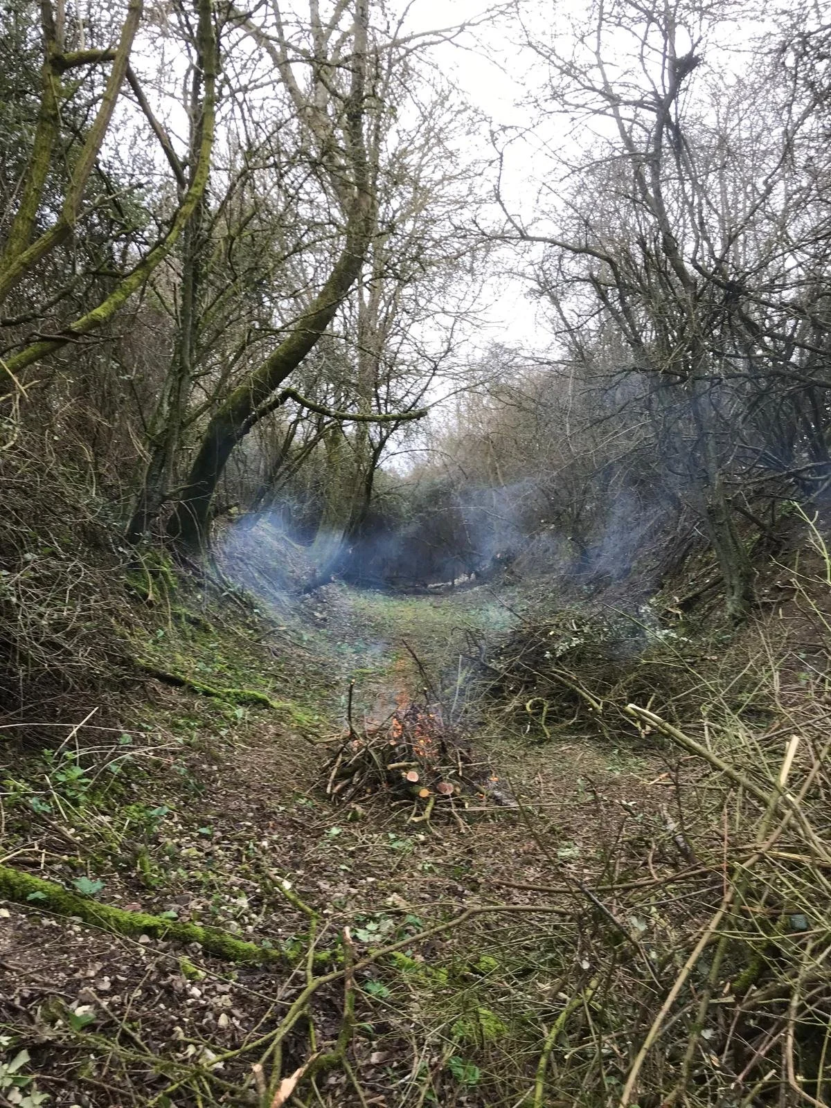 WhatsApp Image 2026-02-23 at 14.58.06 (1).jpeg