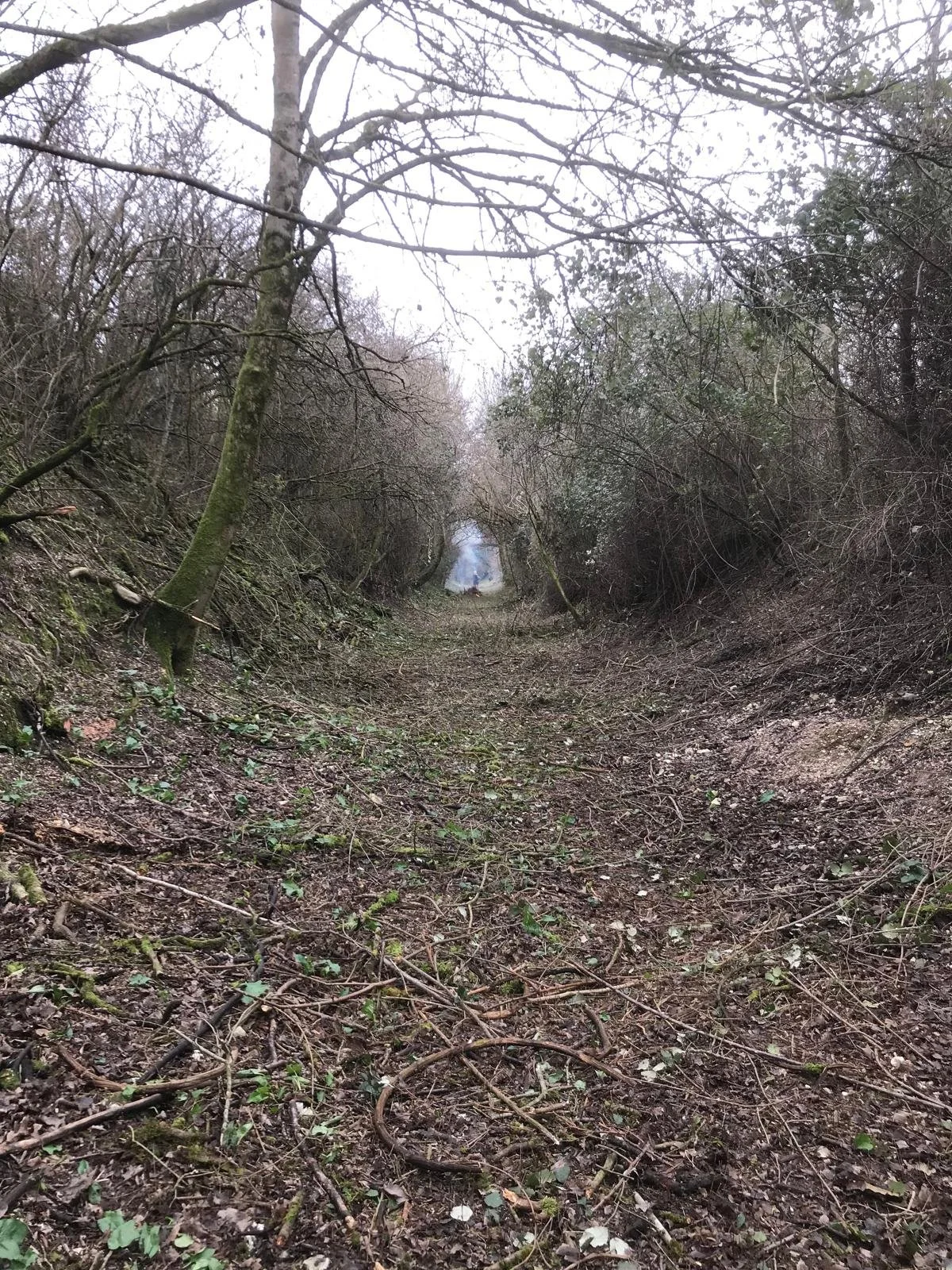 WhatsApp Image 2026-02-23 at 14.58.06.jpeg