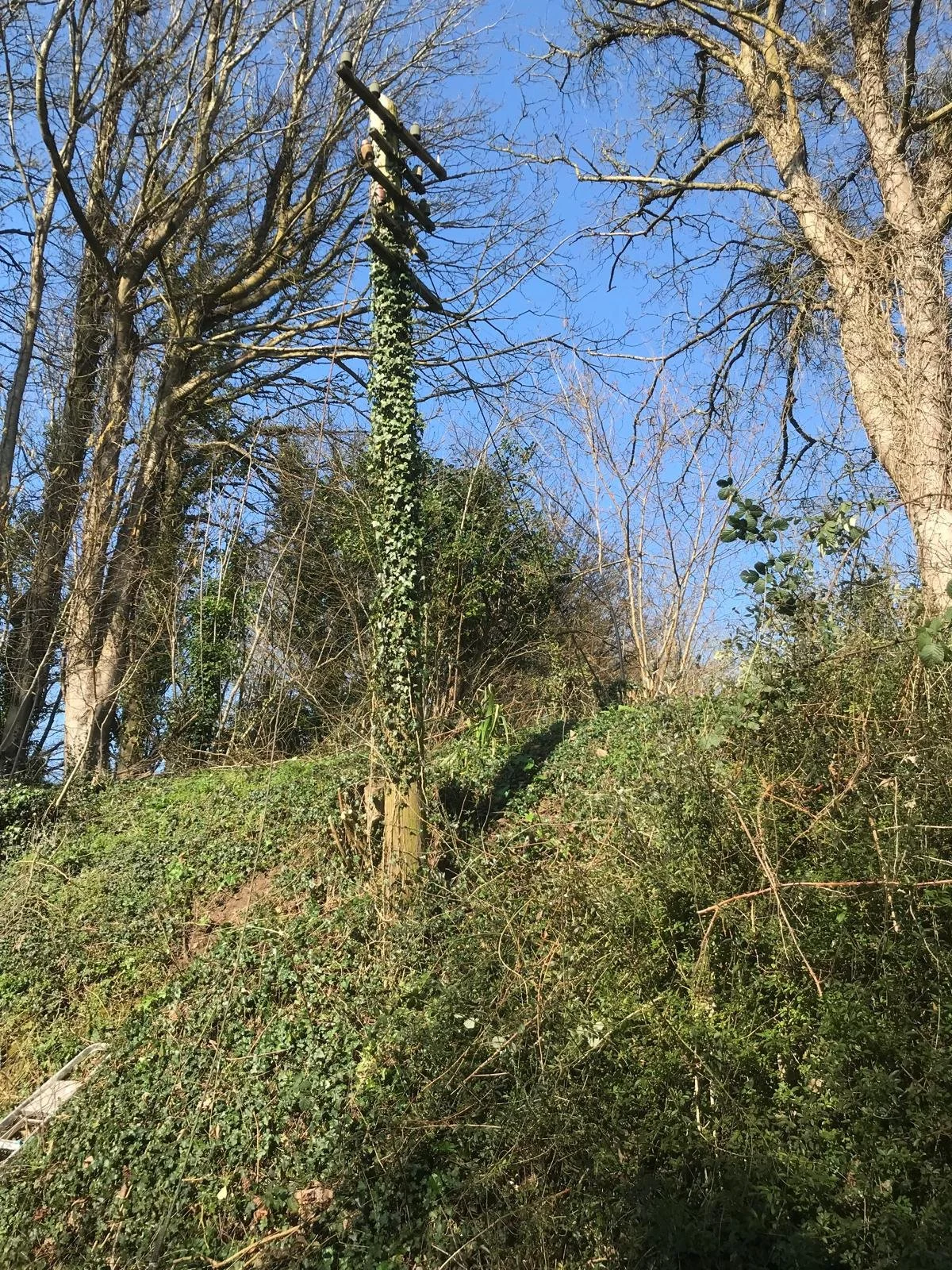 Spring maintenance completed at Martyr Worthy