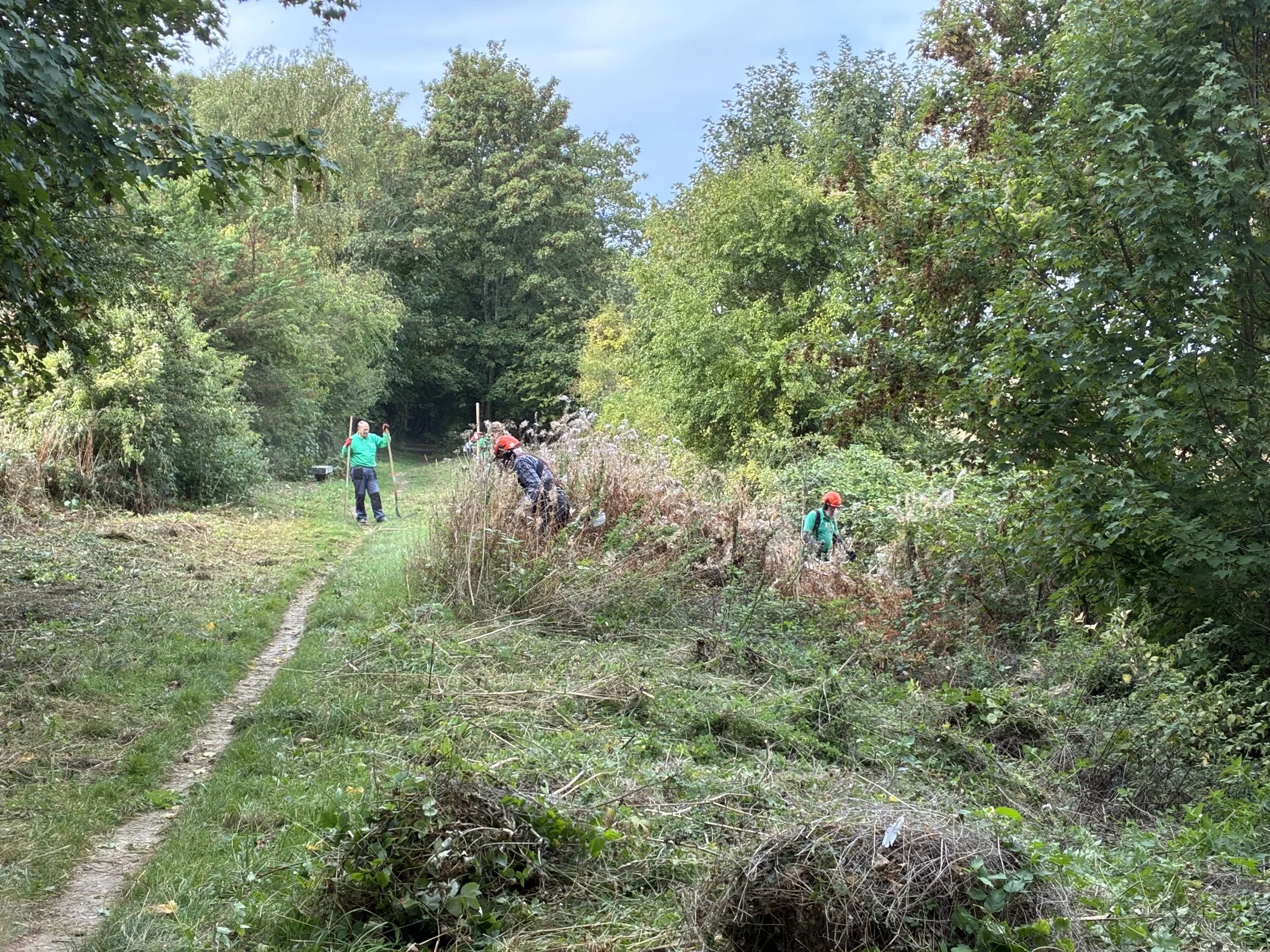 Monday Group Volunteers at Martyr Worthy September 2026 (2).jpeg