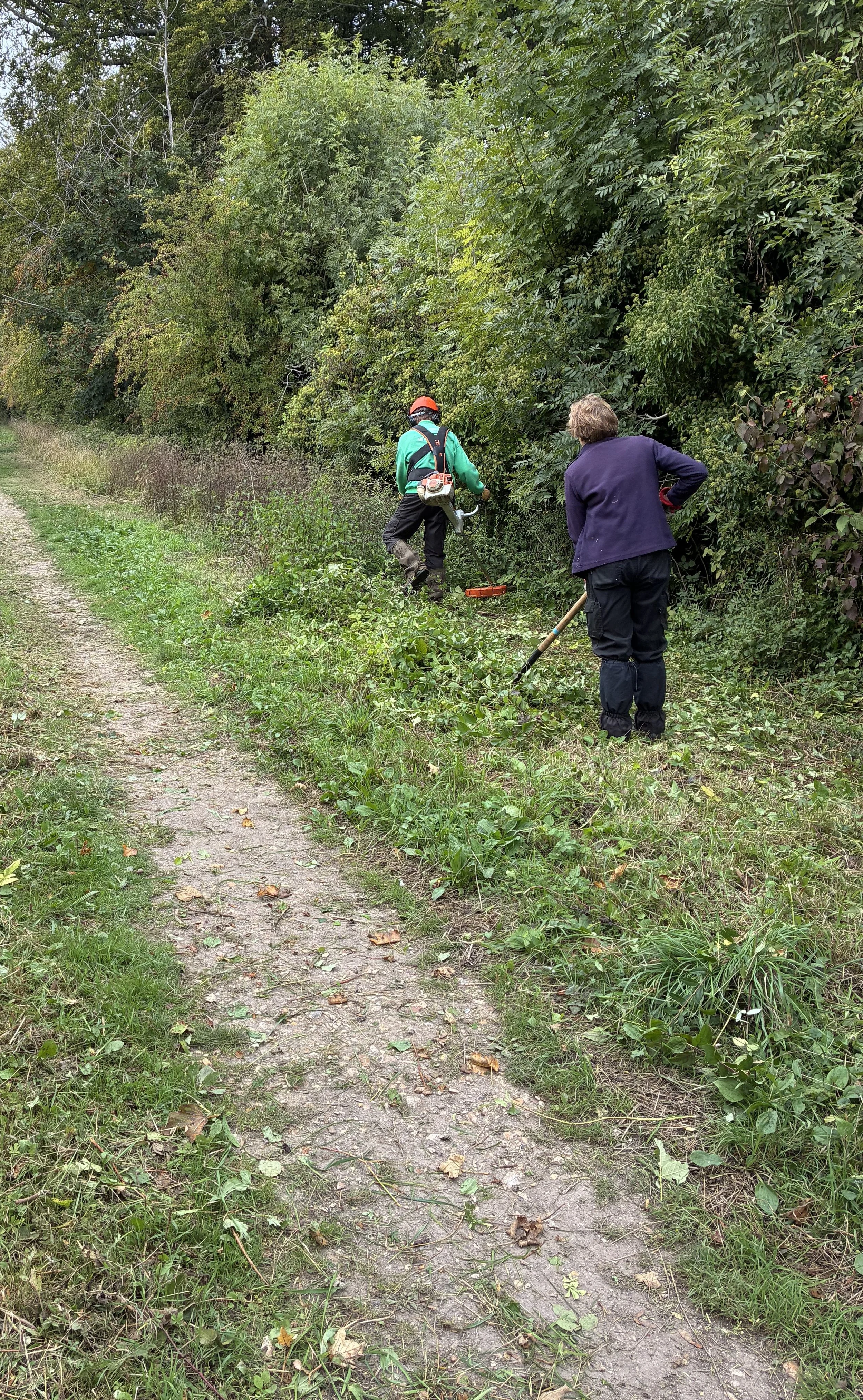 Monday Group Volunteers at Martyr Worthy September 2026 (4).jpeg
