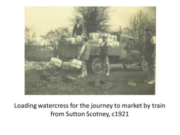  Photo of Sutton Scotney watercress 1921 
