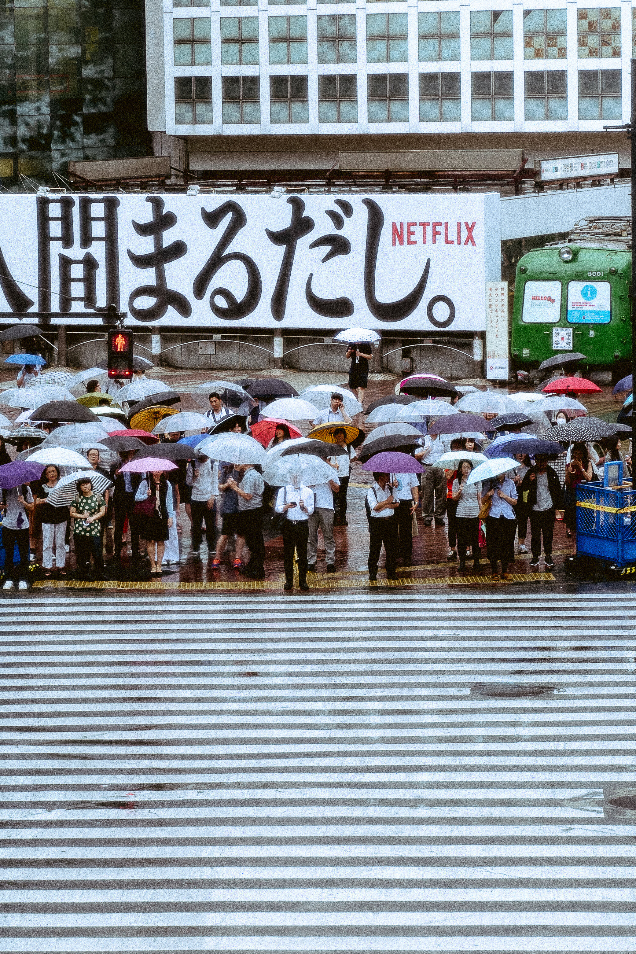 shibuya.jpg