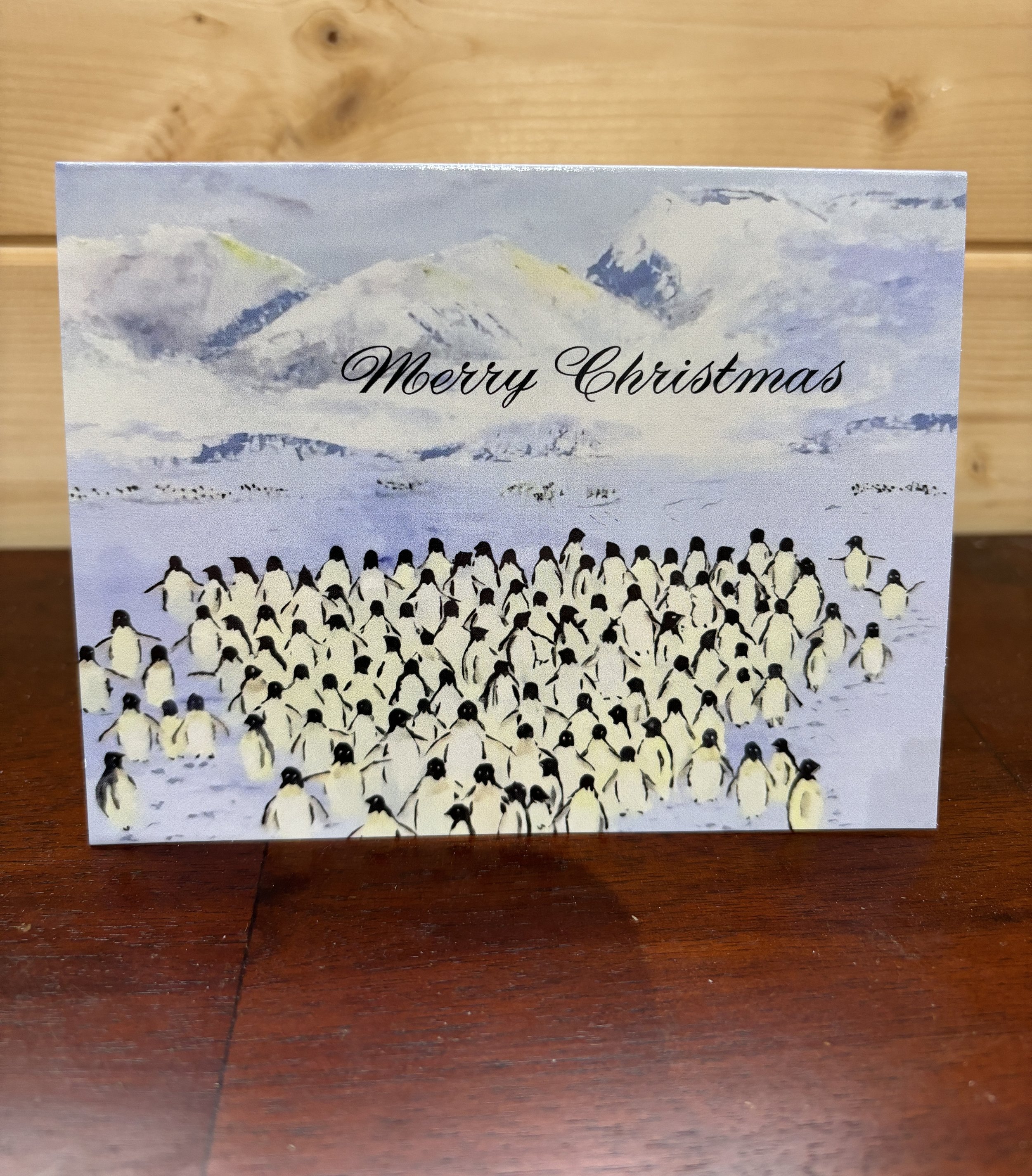 Christmas Cards Assorted Pack x8