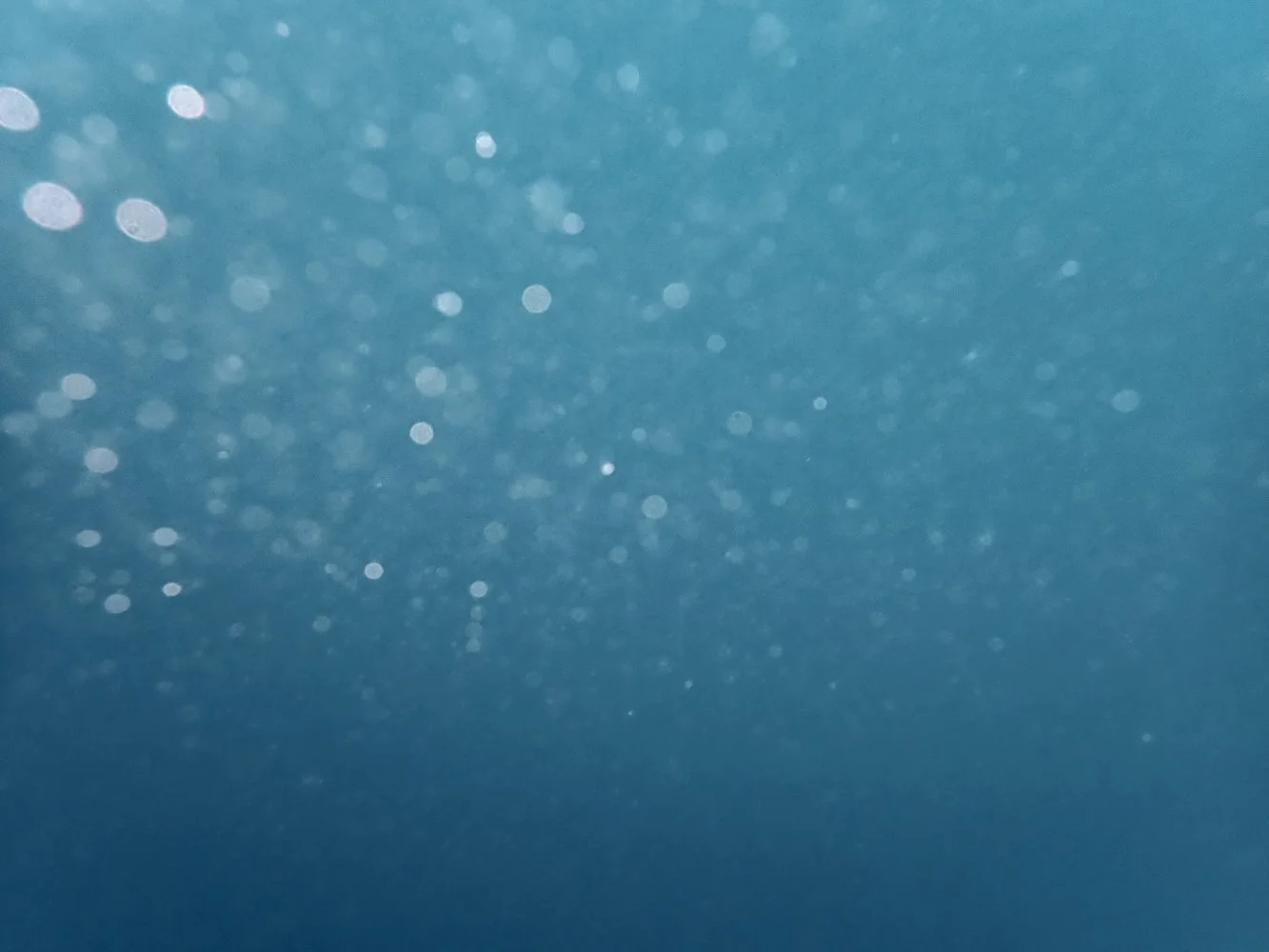 Sortie_mer_ (19).JPG