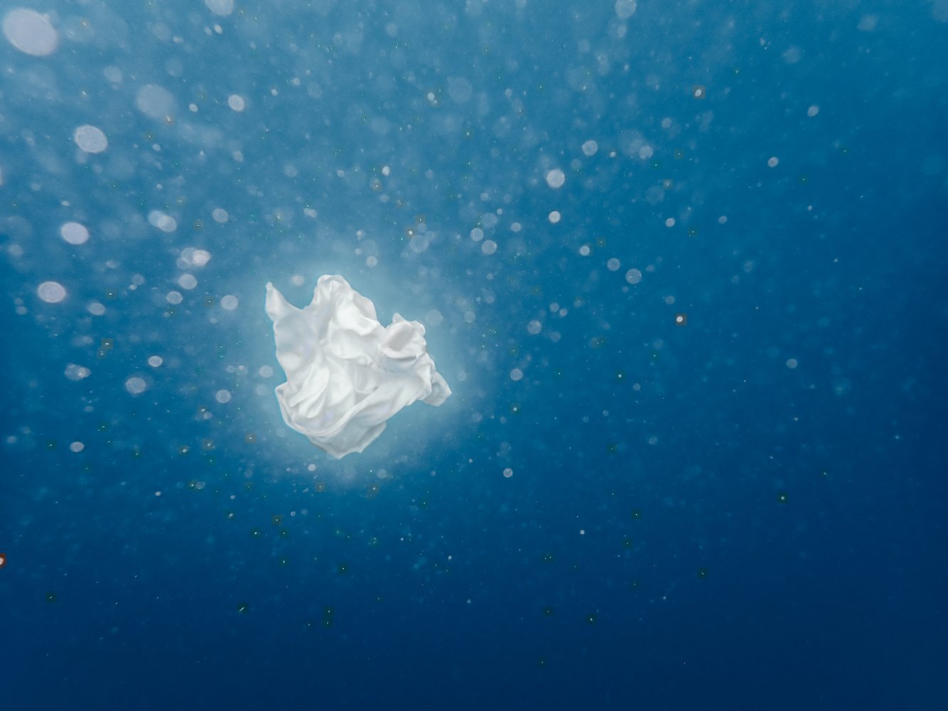 Sortie_mer_ (41).JPG