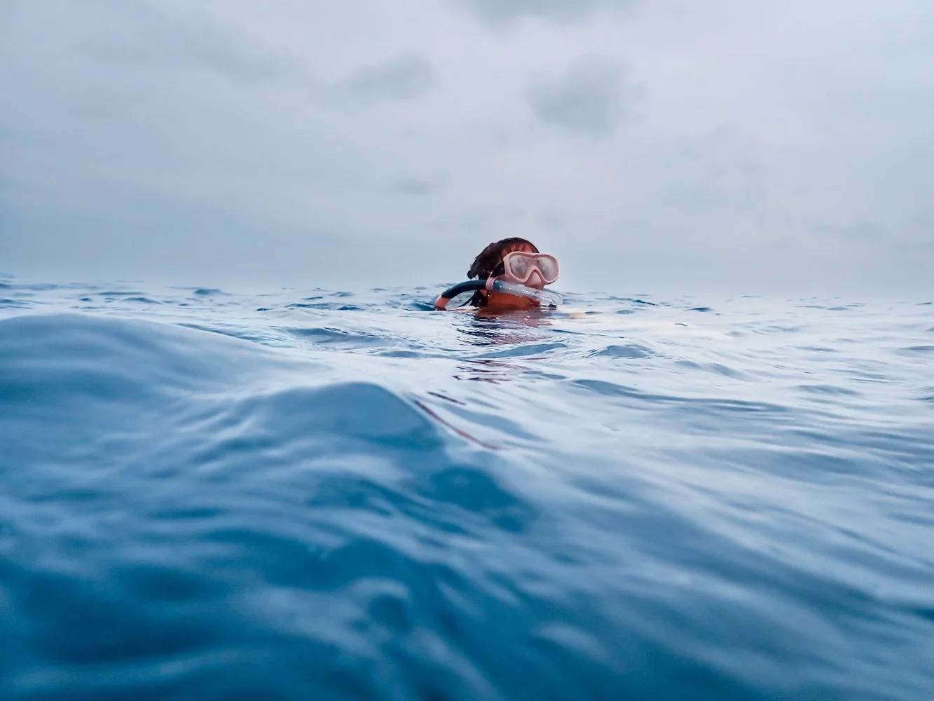 Sortie_mer_ (20).JPG