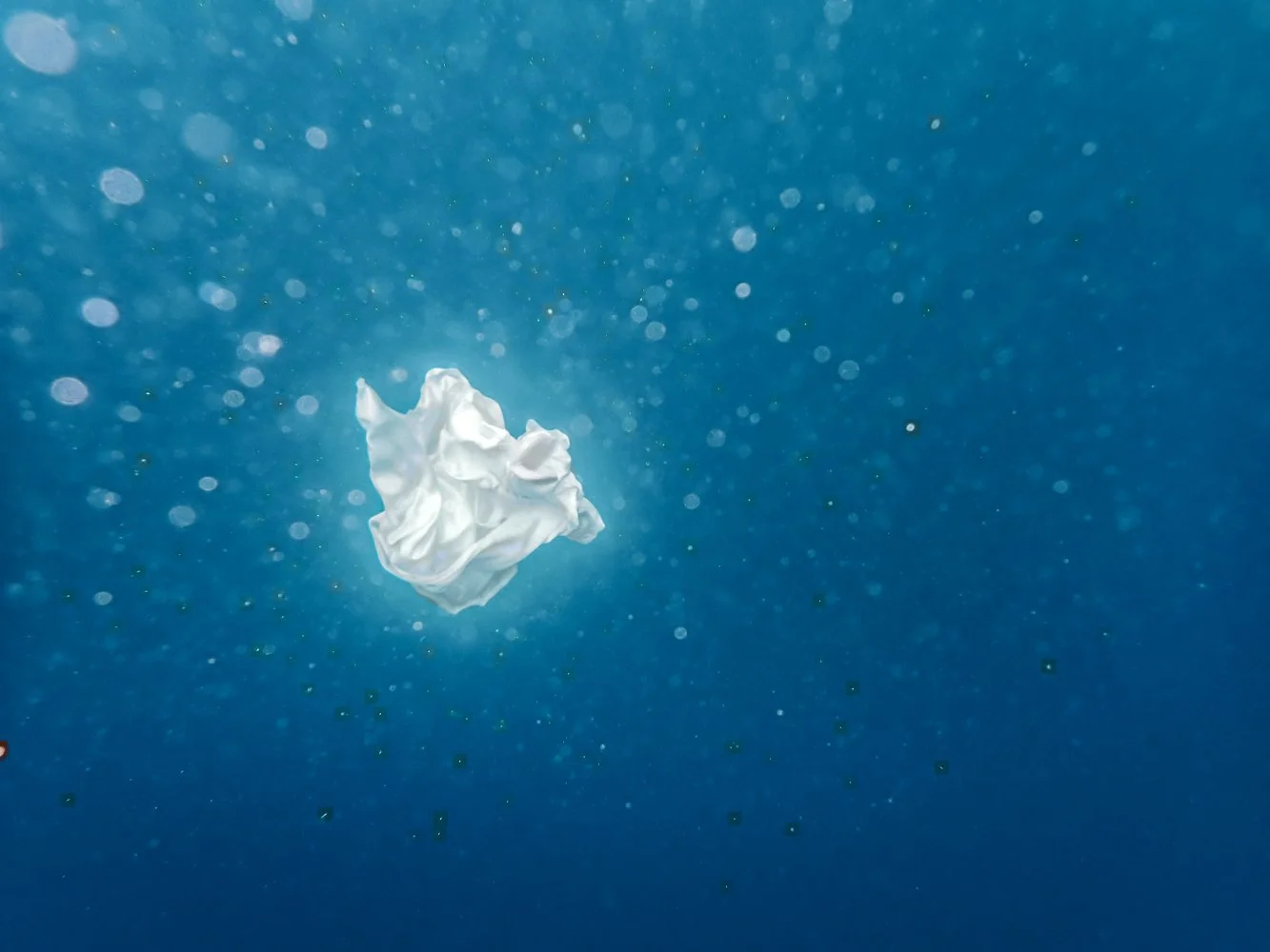 Sortie_mer_ (42).JPG