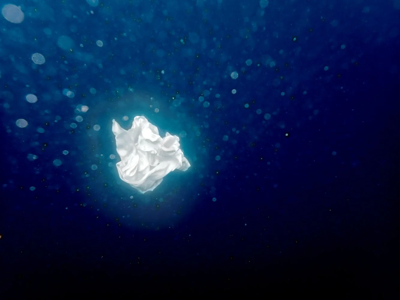 Sortie_mer_ (40).JPG