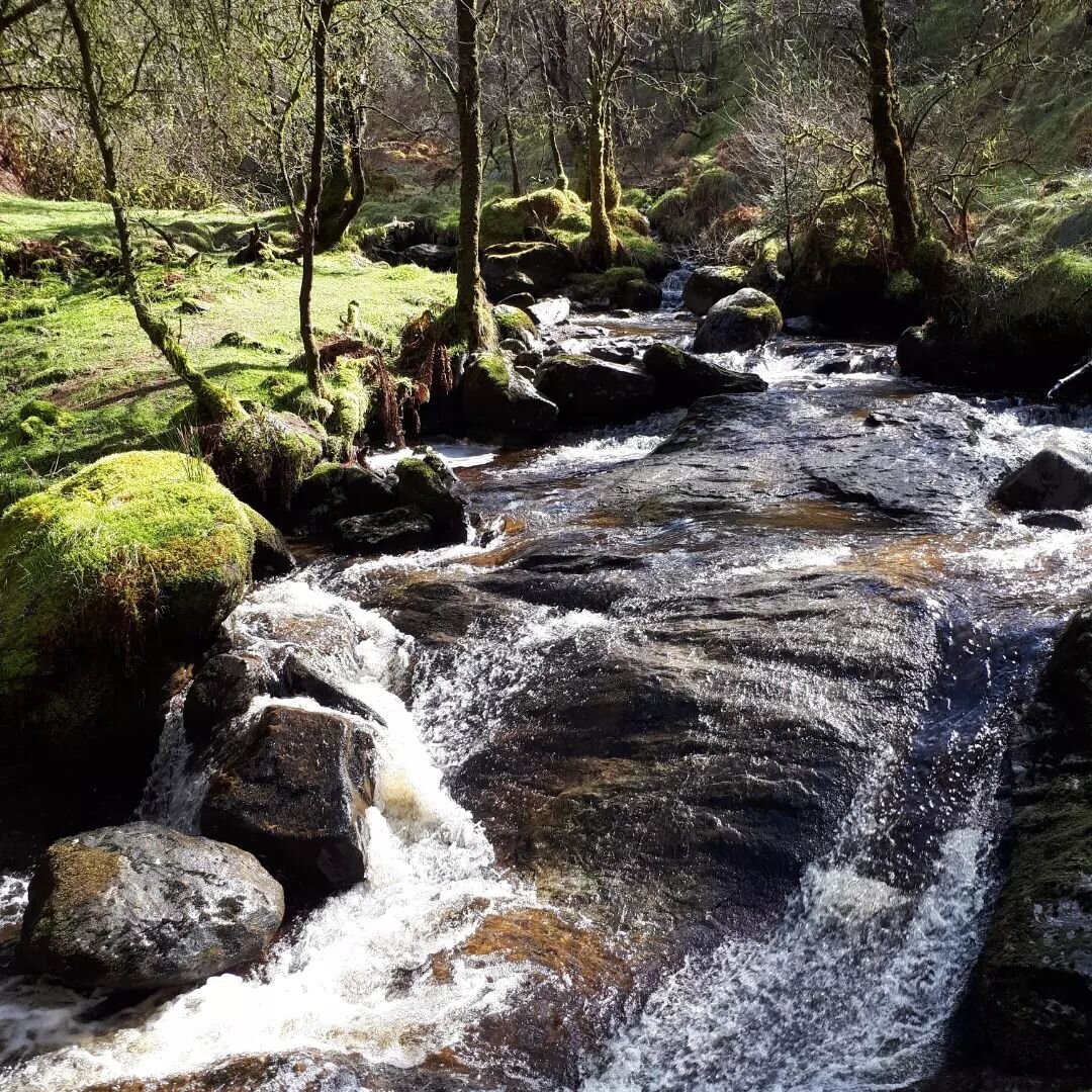 So our trip to the Isle of Skye was part honeymoon, part holiday and part RESEARCH for my next Chicken House book... Get ready for a wild island, a hidden forest, an abandoned village, an ancient tree, and a girl called Faye who knows she has done so