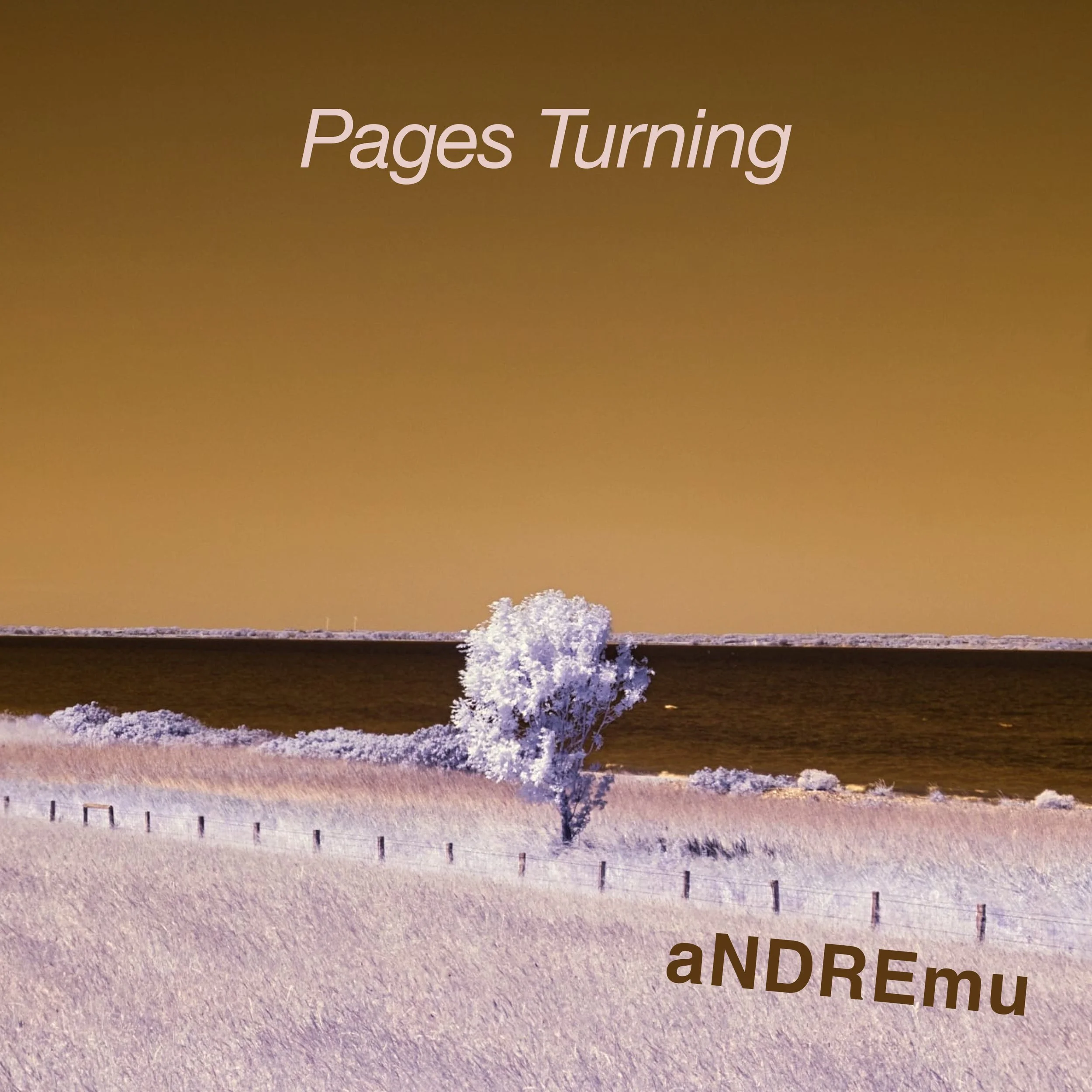NEW SINGLE: aNDREmu - Pages Turning