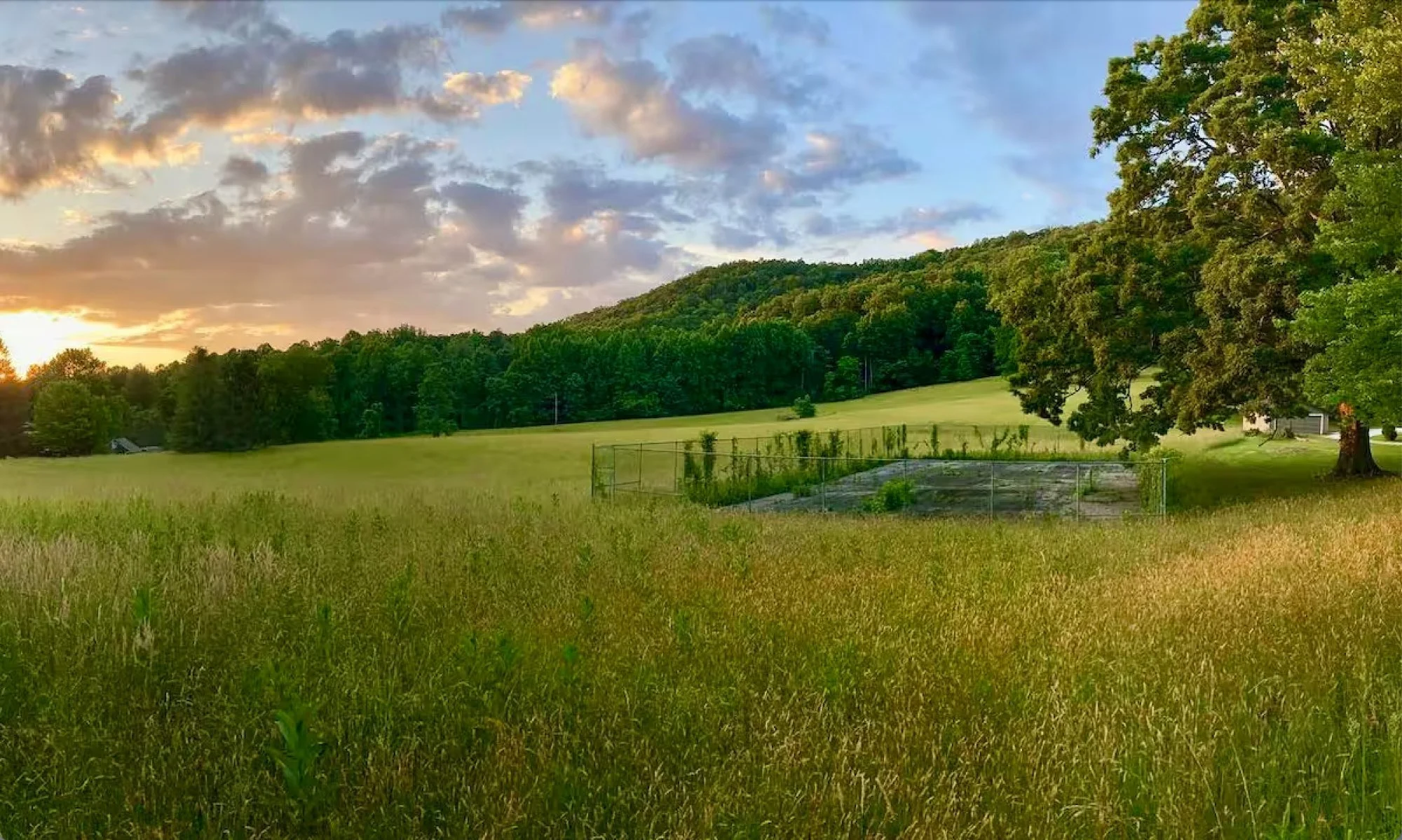 thornhill-farm-32.jpg