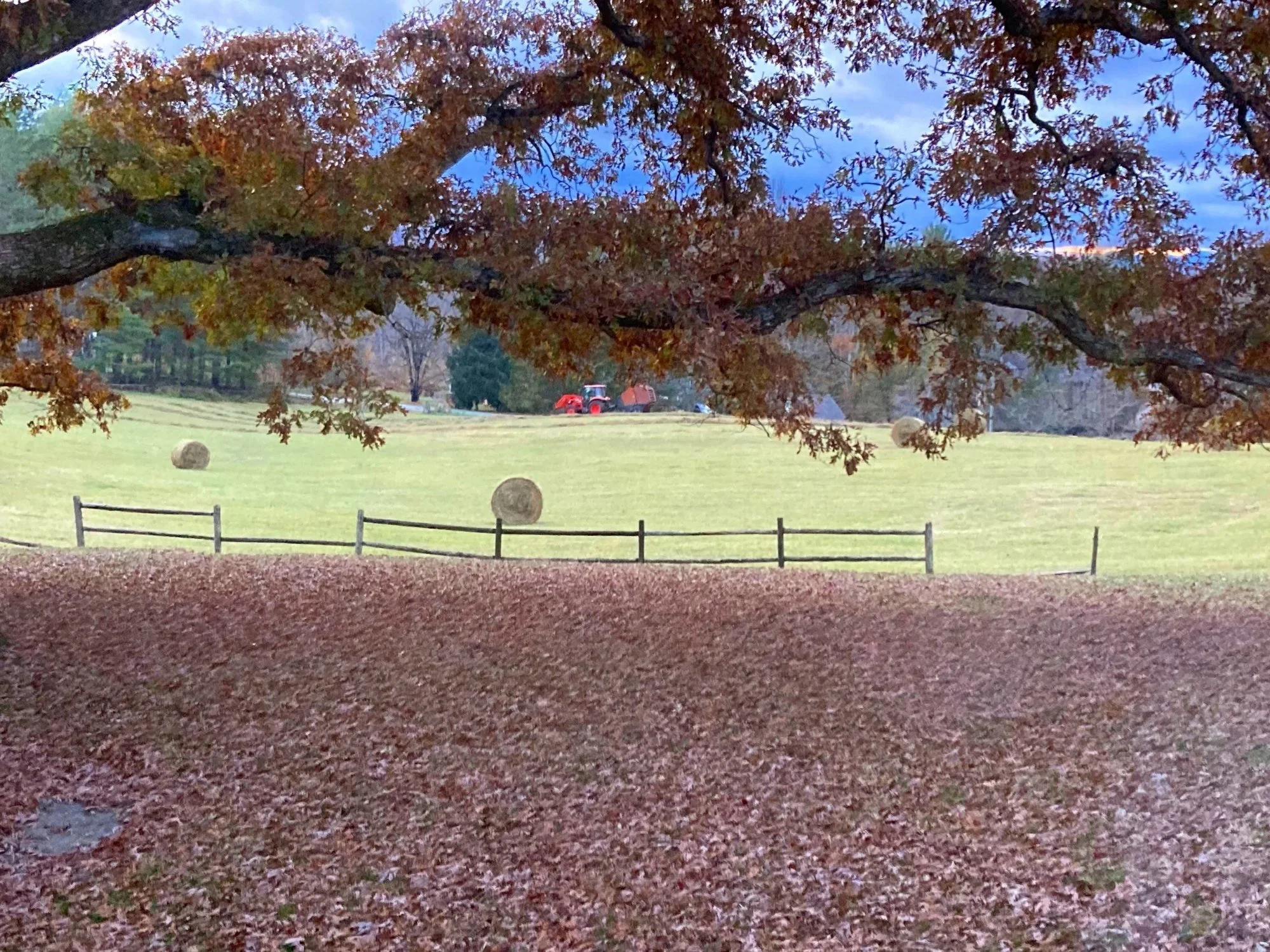 thornhill-farm-35.jpg