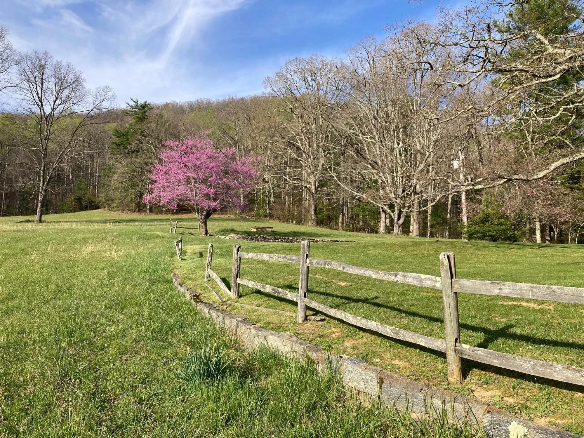 thornhill-farm-37.jpg