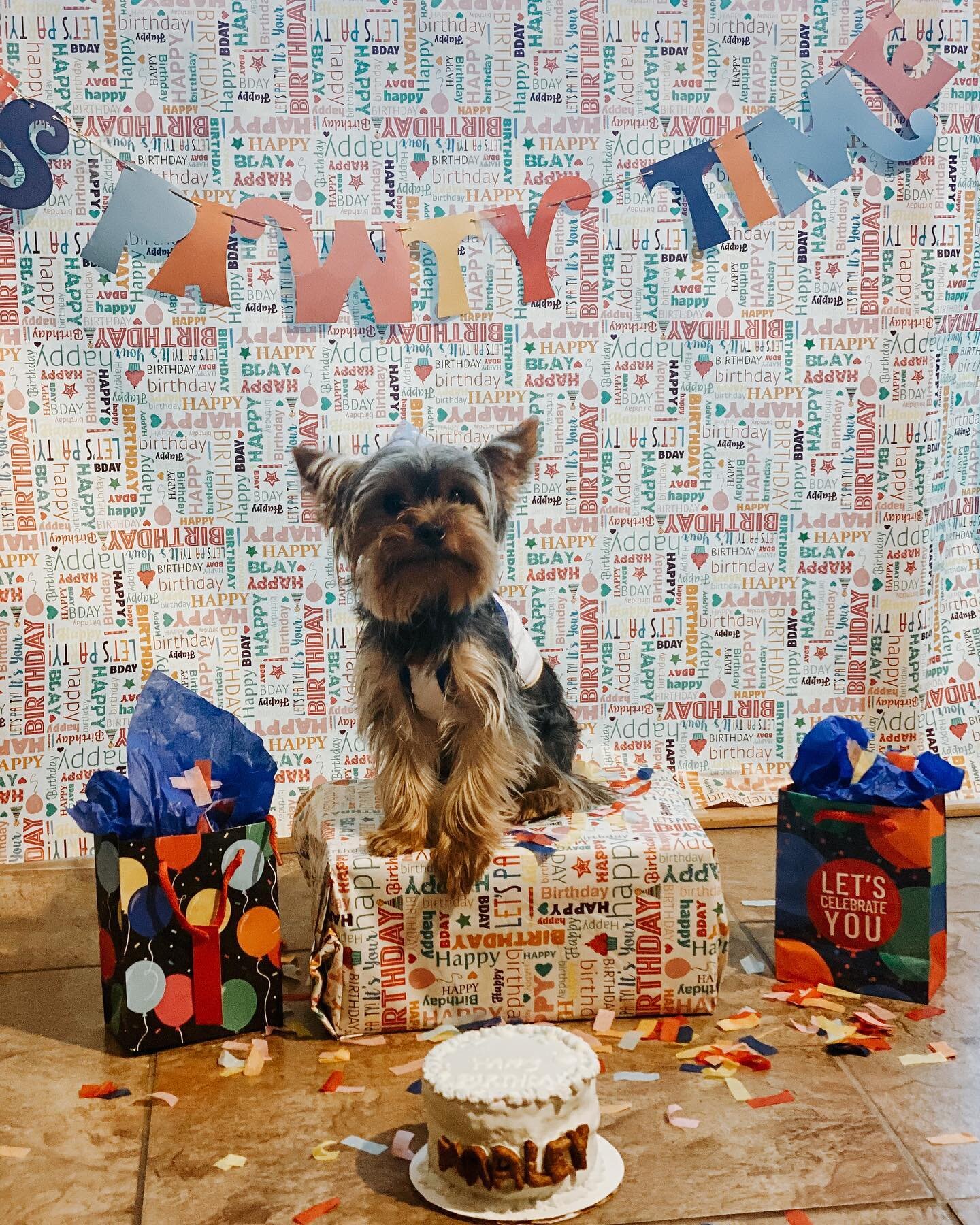 Happiest of birthdays cutie pie Marley💕🎂 lots of snuggles.

📸 @ TranieceAllen
.
.
#louisianadogbakery #louisianapets #dogcake #dogbirthday #louisuanasmallbusiness #bellyscratchesandbizkits