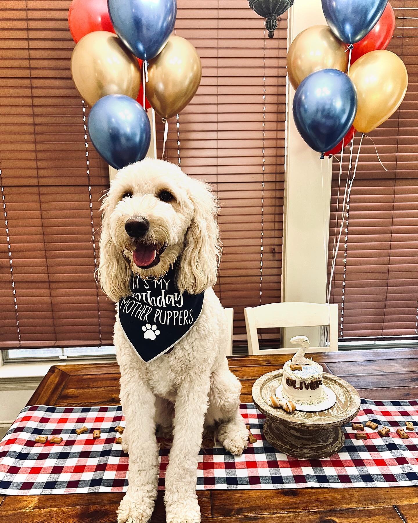 Over the weekend this cute celebrated his 2nd 🎈 Birthday. Happy Birthday Oliver! Big snughles and belly scratches. 

📸sydneyblankenship5 

#louisianadogbakery  #Bellyscratchesandbizkits #louisianadog  #acadianasmallbusiness #louisianasmallbusiness