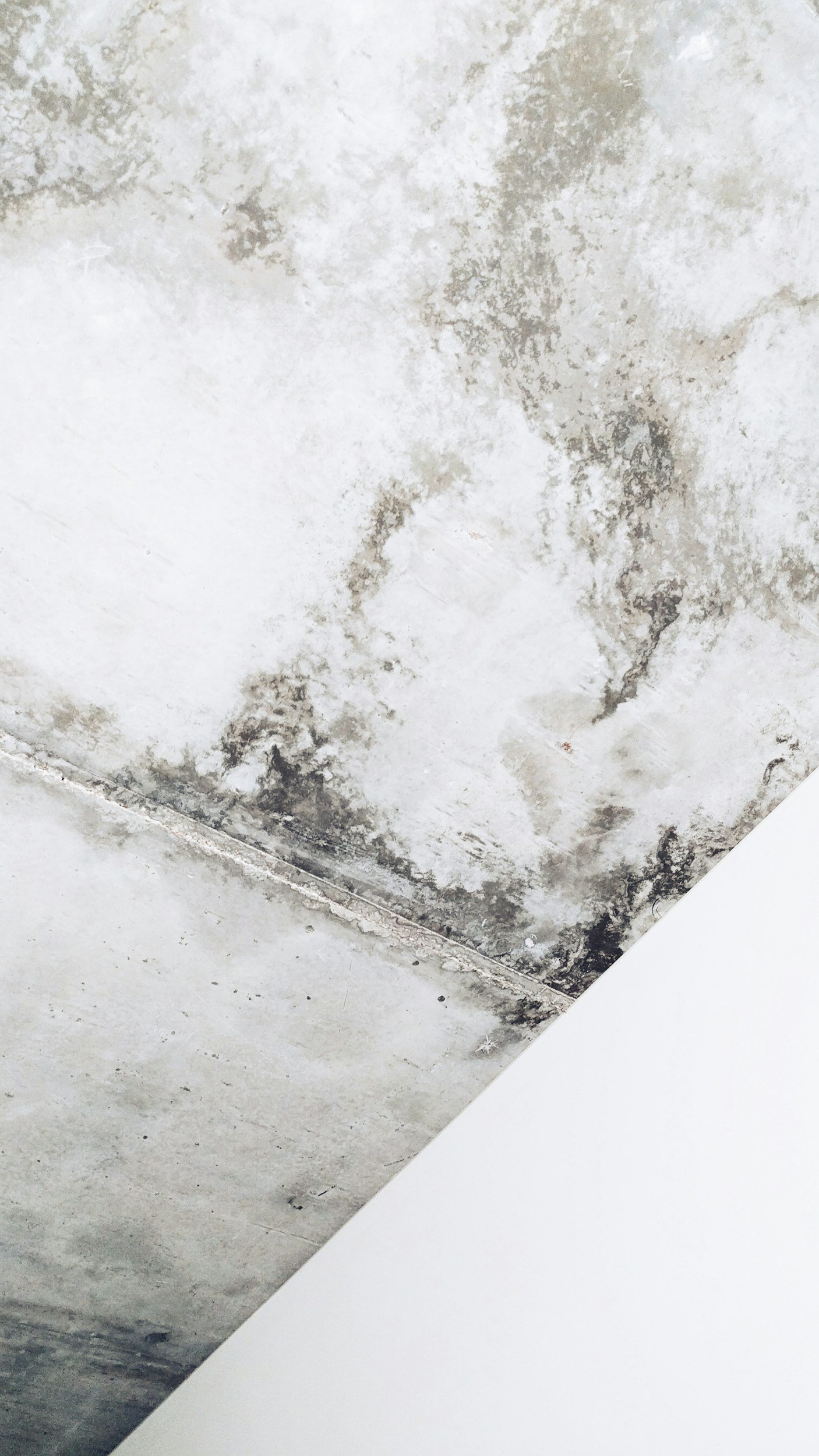 unsplash-image-kPK_DjUEJ5U.jpg