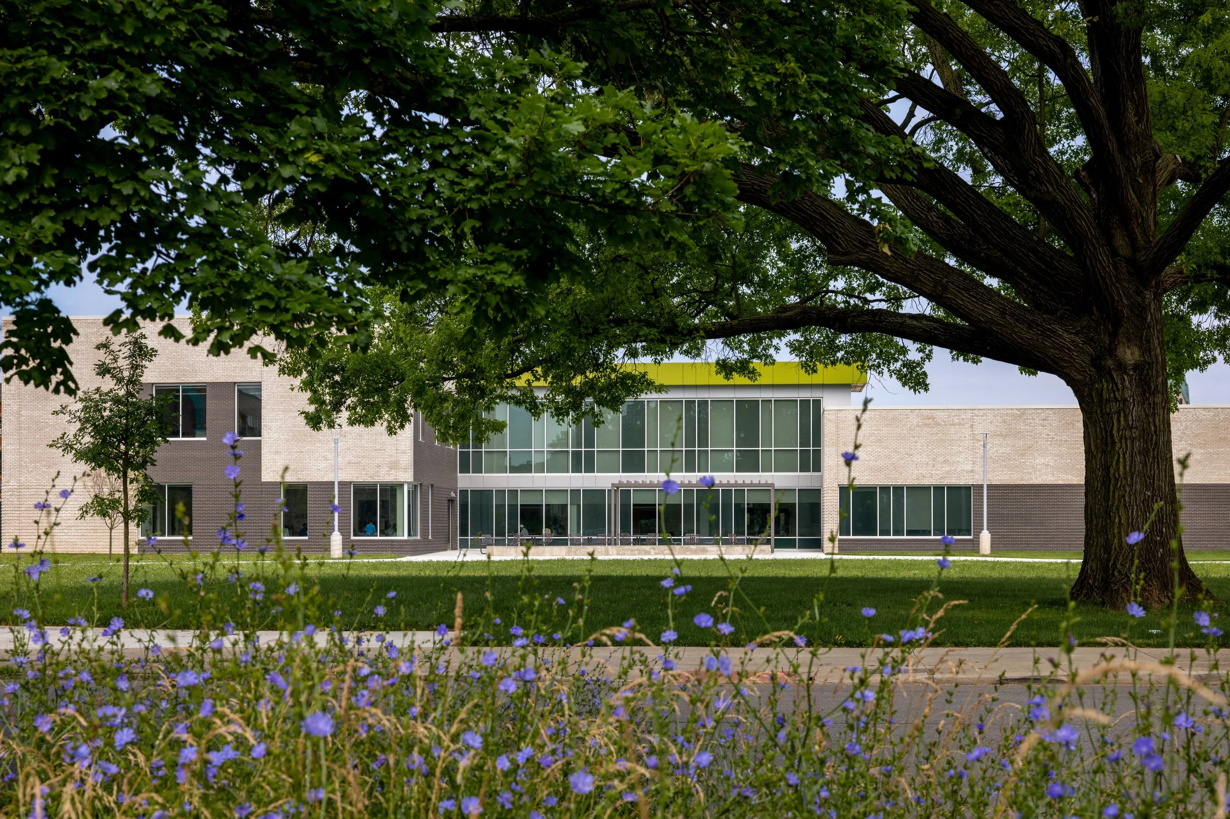 Fran Ryan Center-013.jpg