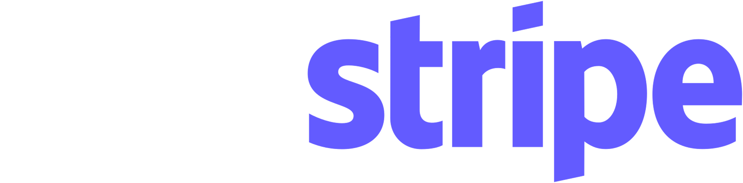 stripe platform, payment
