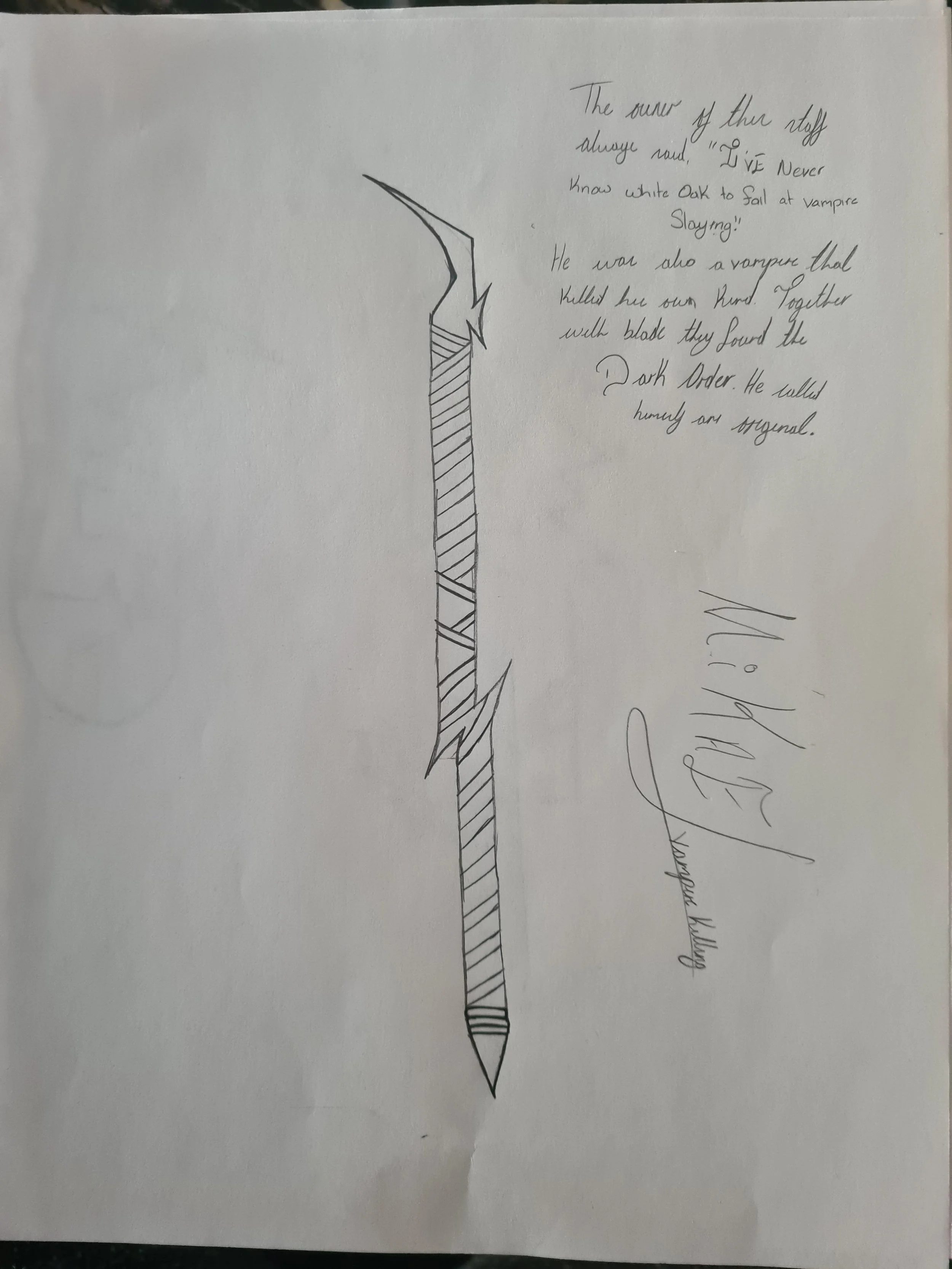 It was said that two vampires created what is now known as the Dark Order within the templar factions. Of course, we believed one of those things called himself Blade. Mikael was the name of the second founder and his weapon of choice was a staff fas