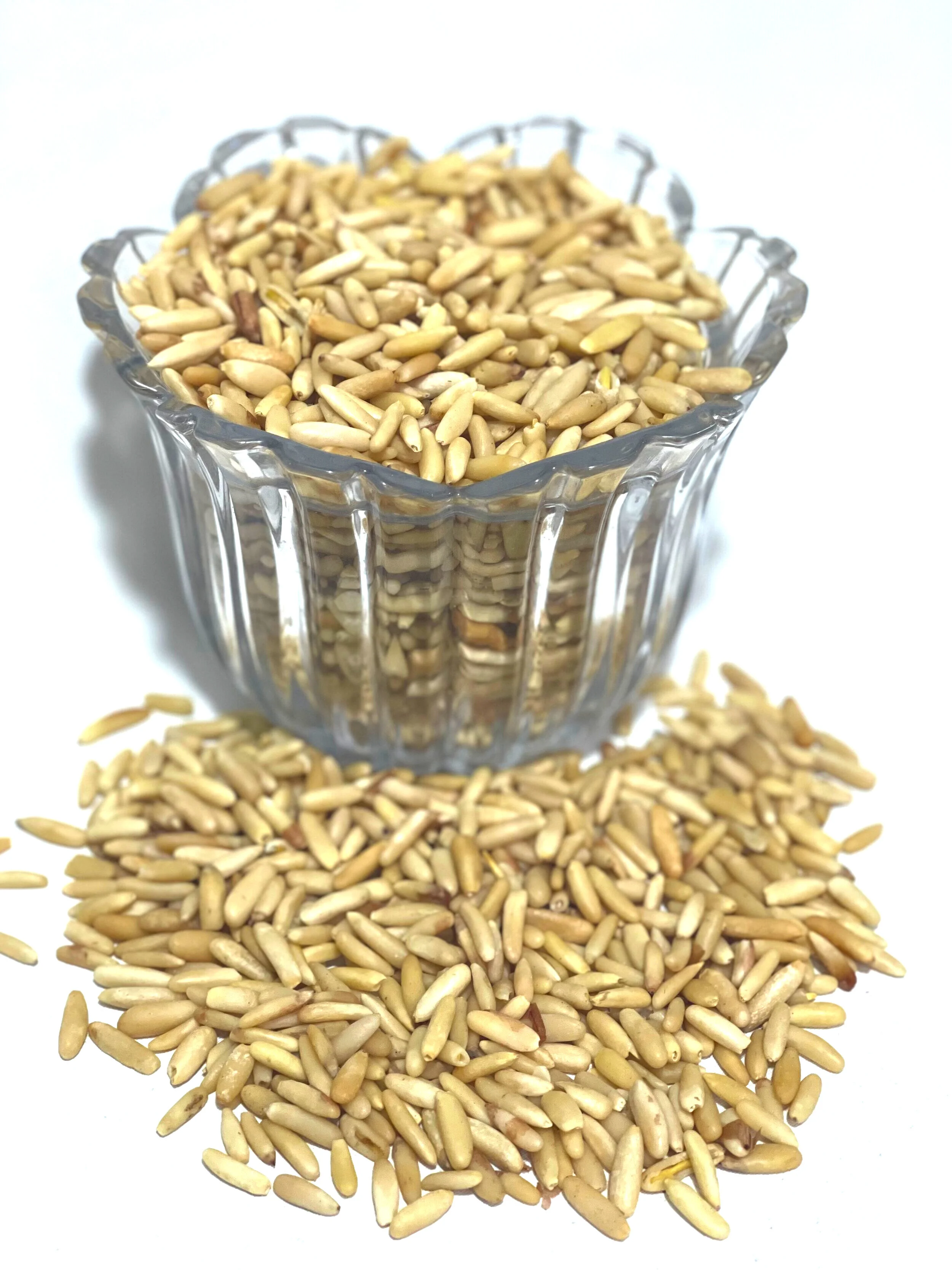 17 — AFG Dried Fruits & Nuts