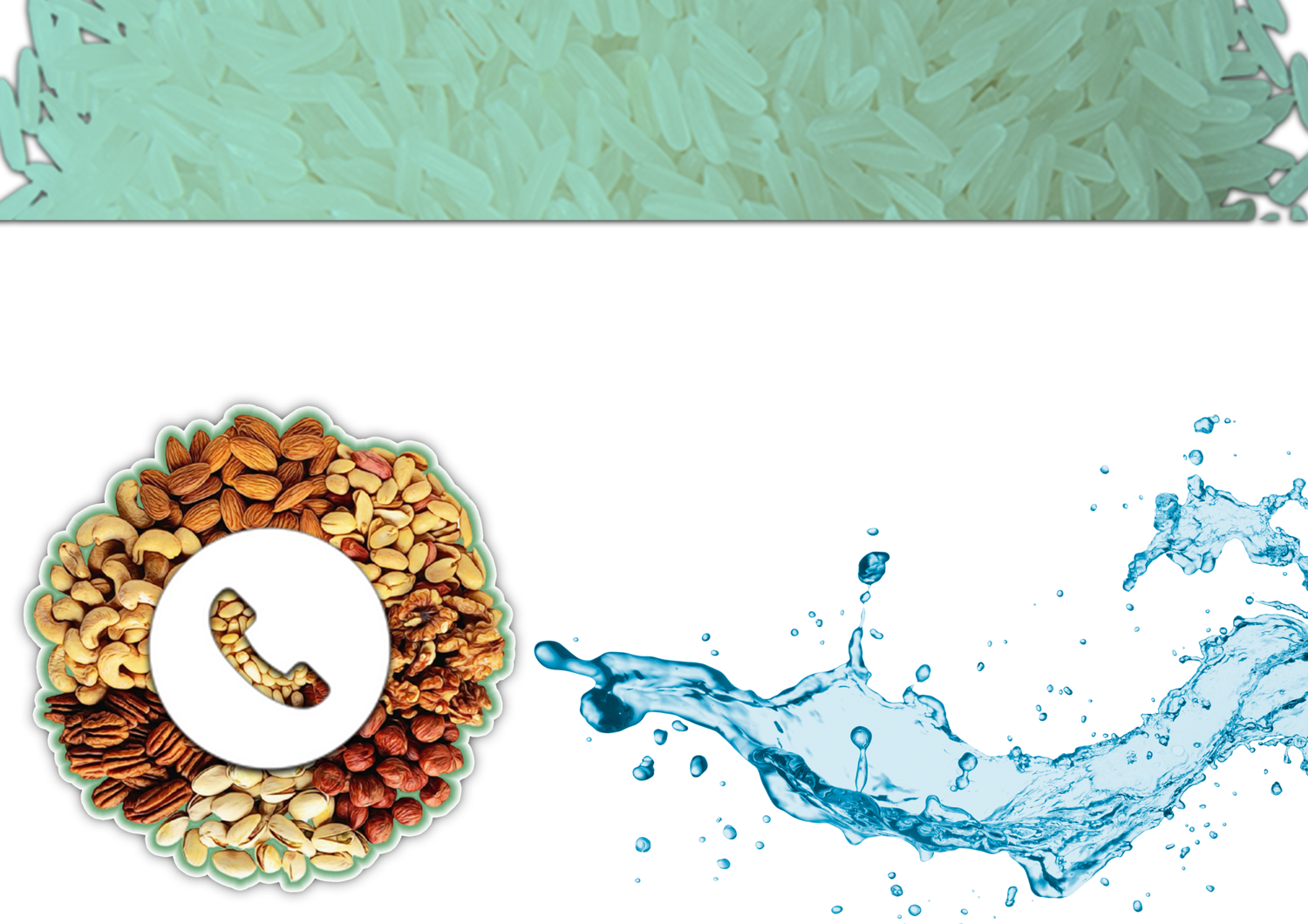 Contact Us — AFG Dried Fruits & Nuts
