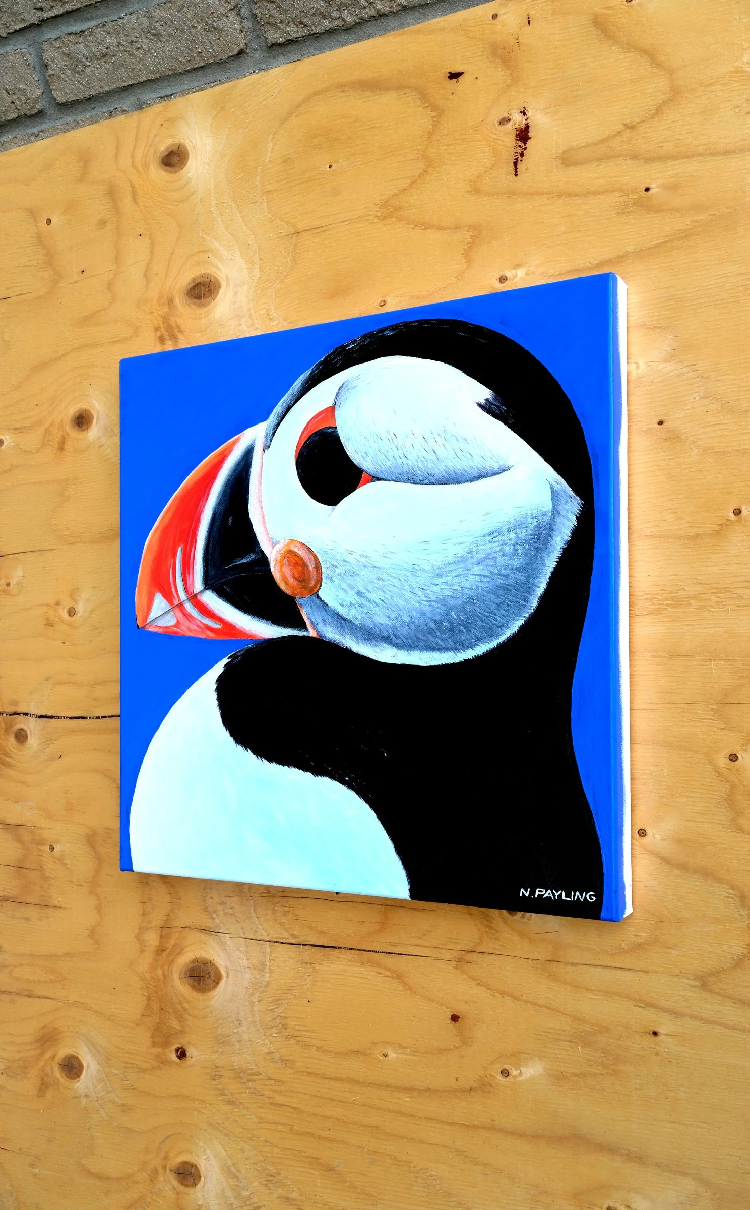 puffin3.jpg