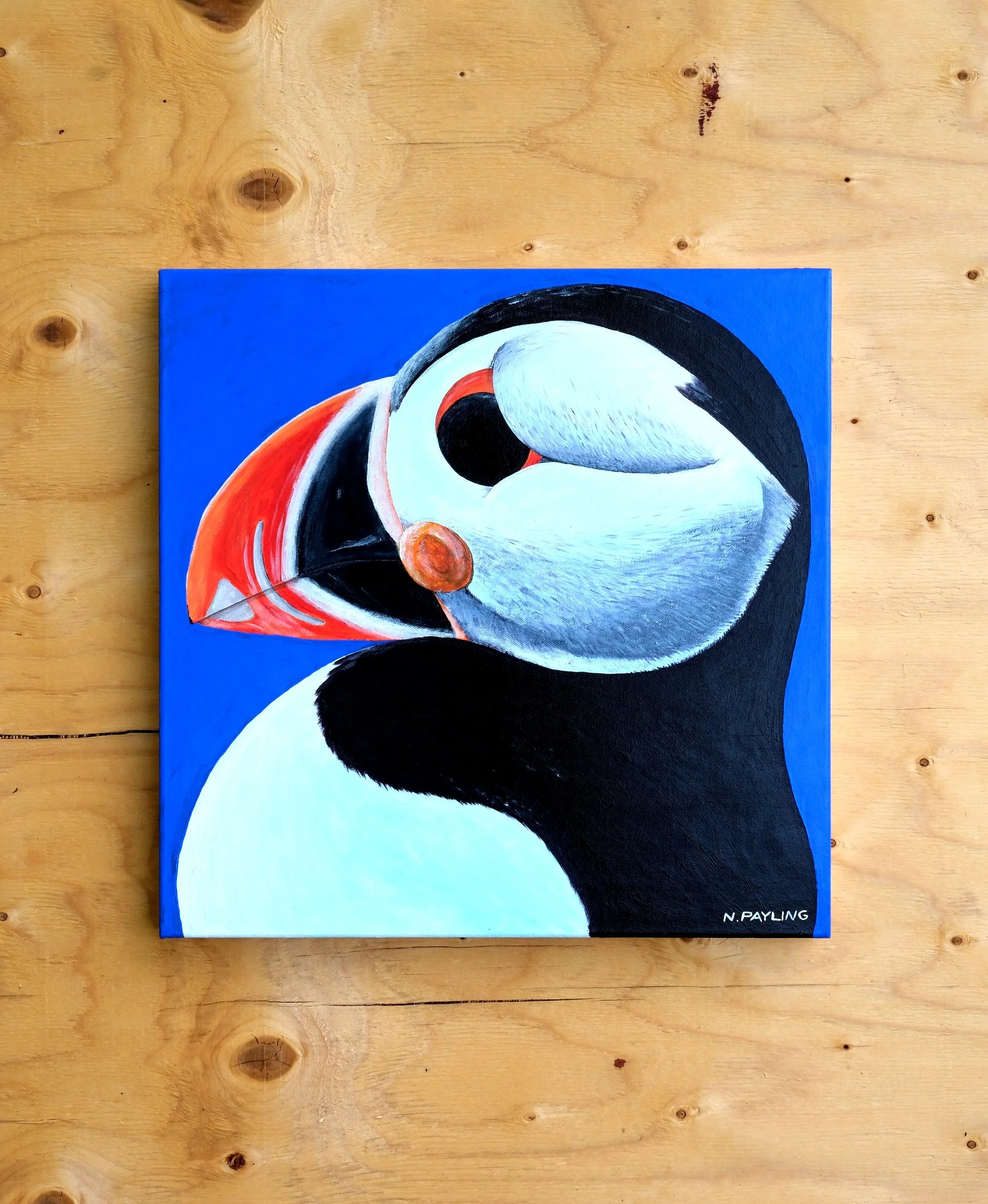puffin.jpg