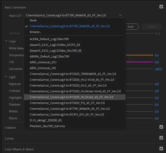 Free Luts For Canon R5 CLog Log2 & Log3 — Walk in Jack